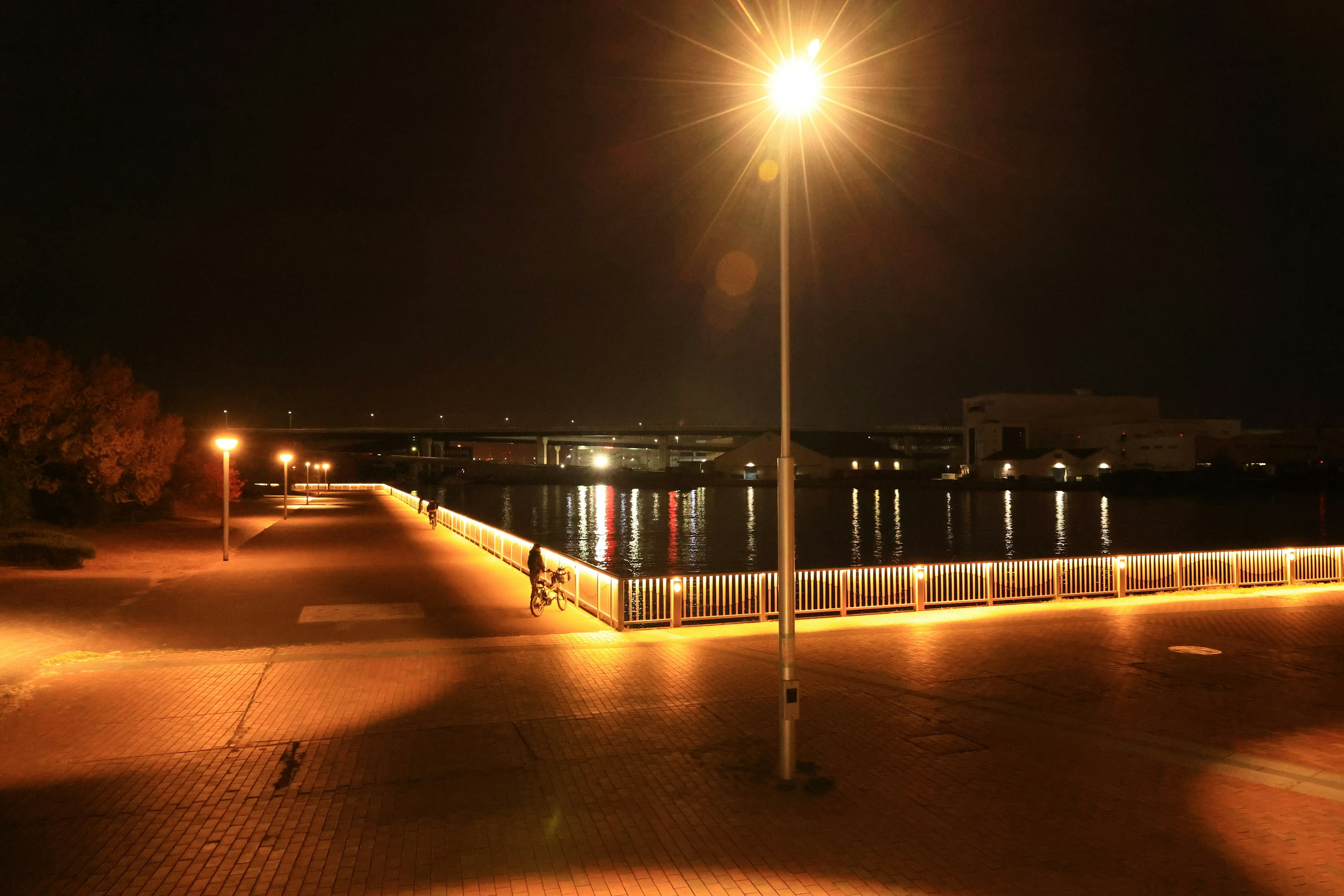 Quiet waterfront scene illuminated by streetlights at night