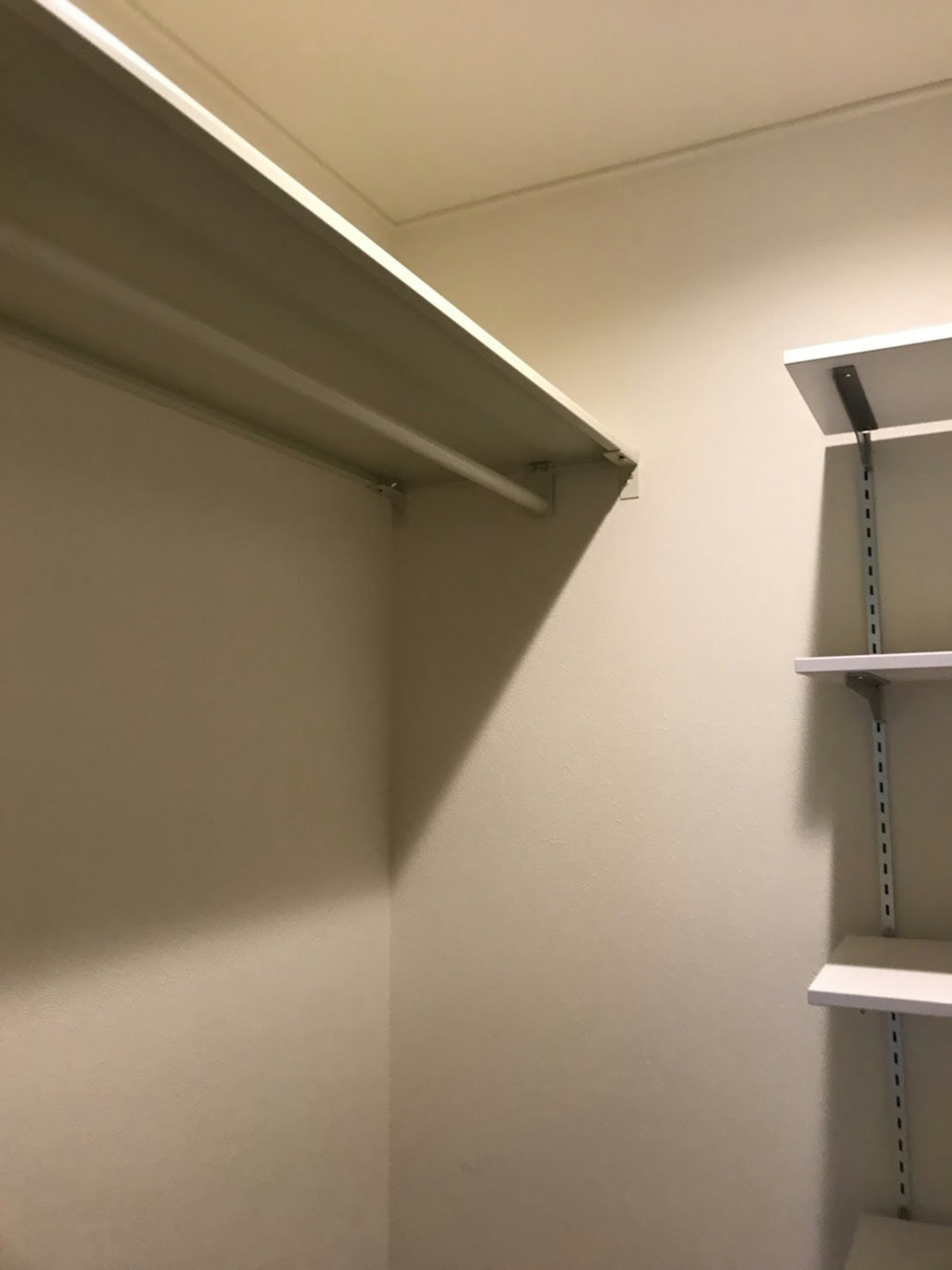 Simple closet interior featuring shelves and empty space along the wall