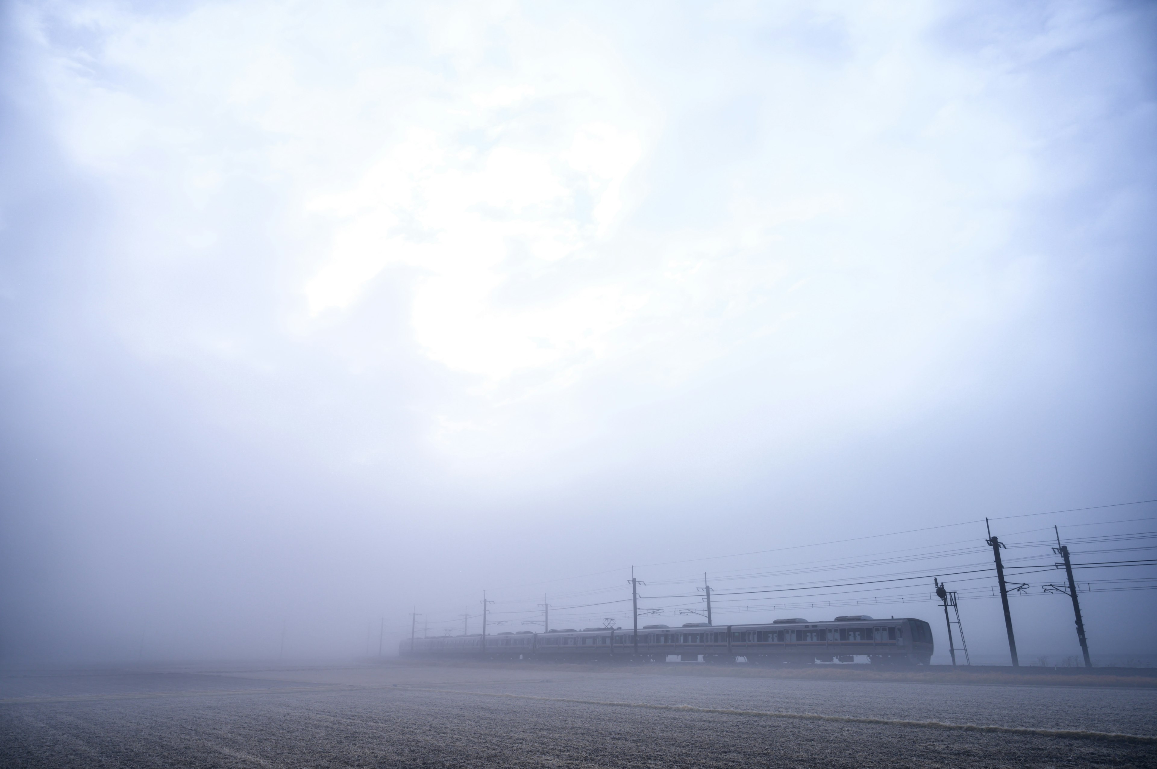 霧に包まれた風景と電柱が見える