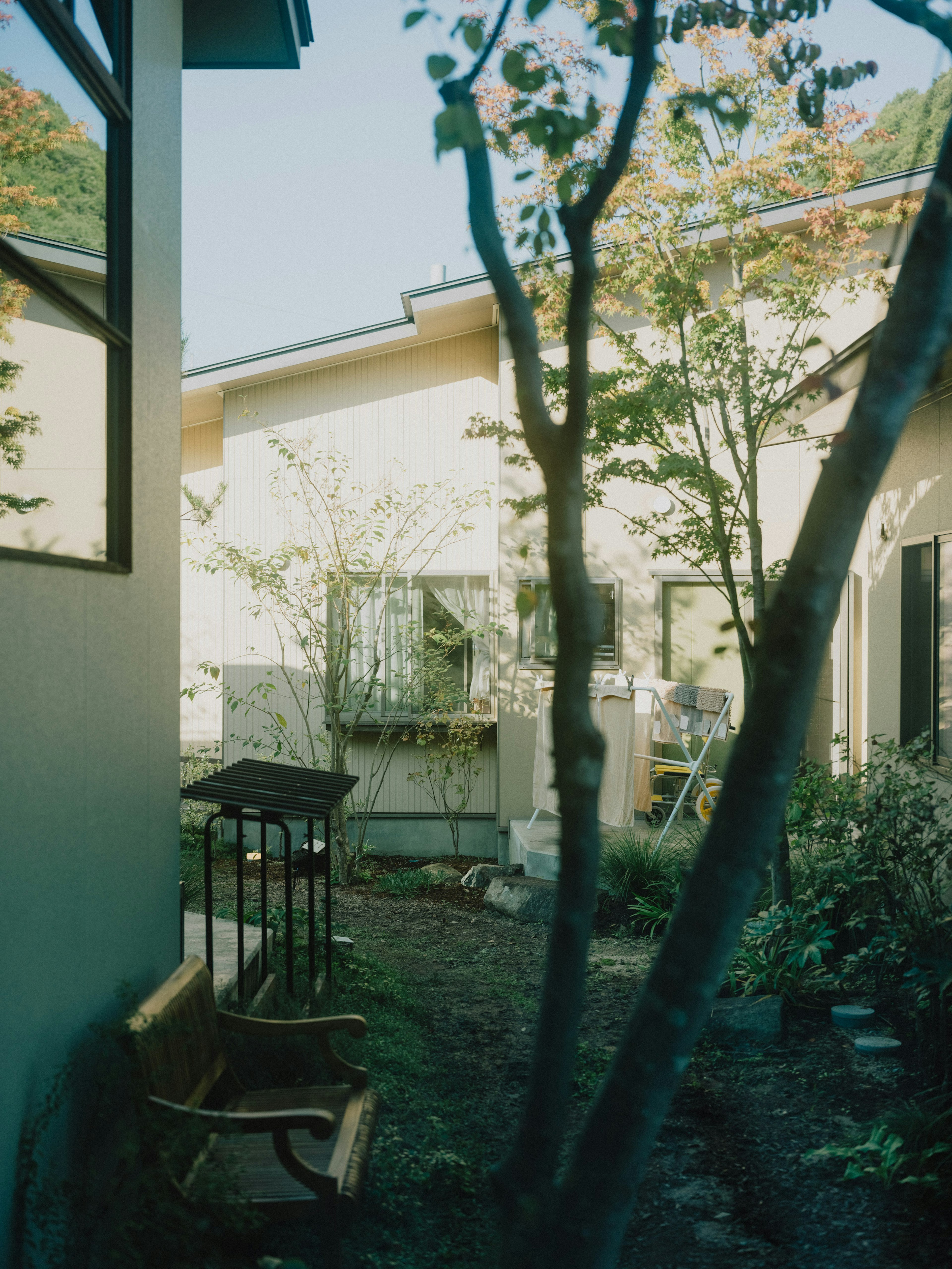 Zona residencial tranquila que muestra un jardín con árboles y vegetación