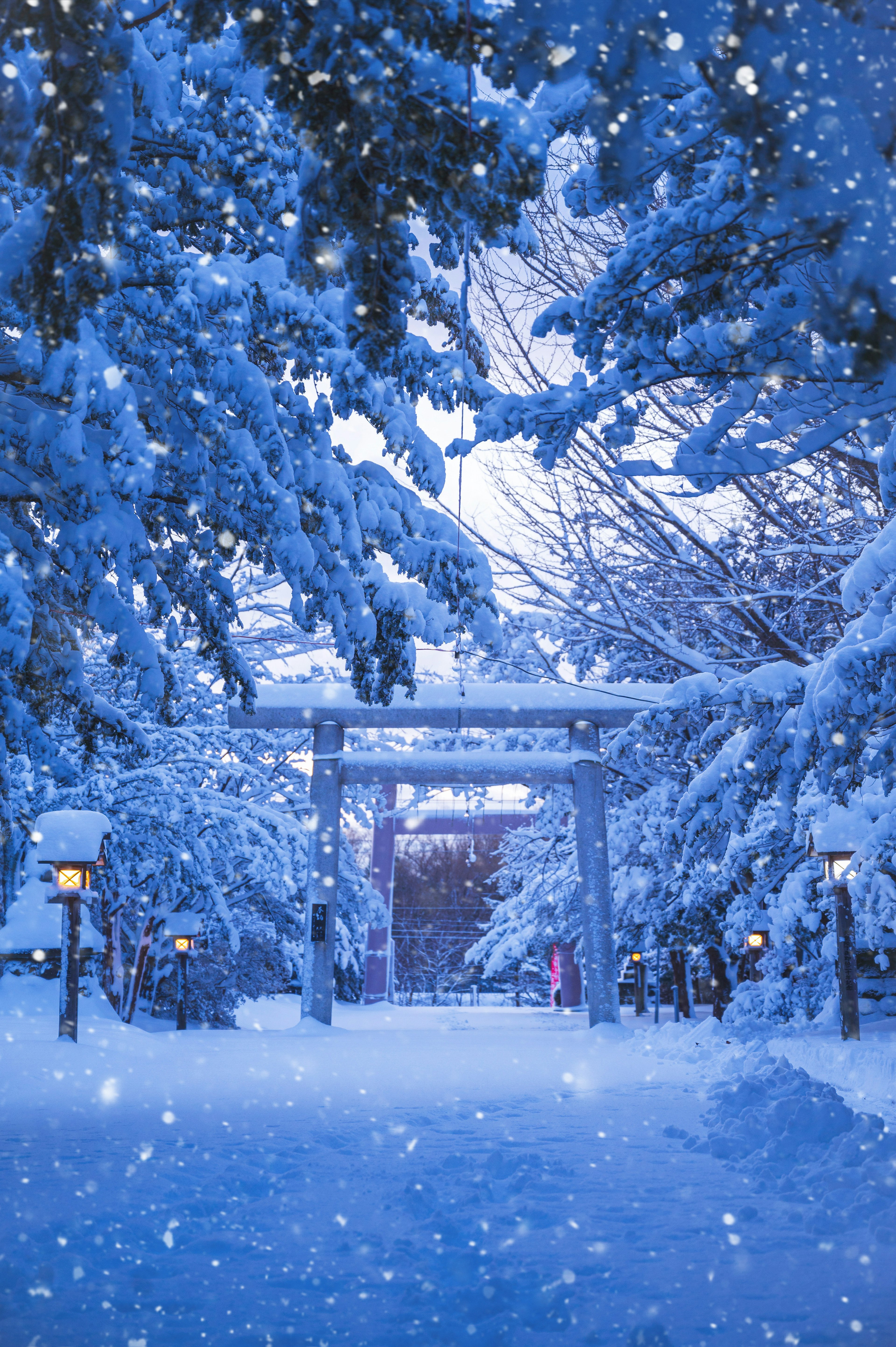 Snow-covered shrine gate and tranquil pathway