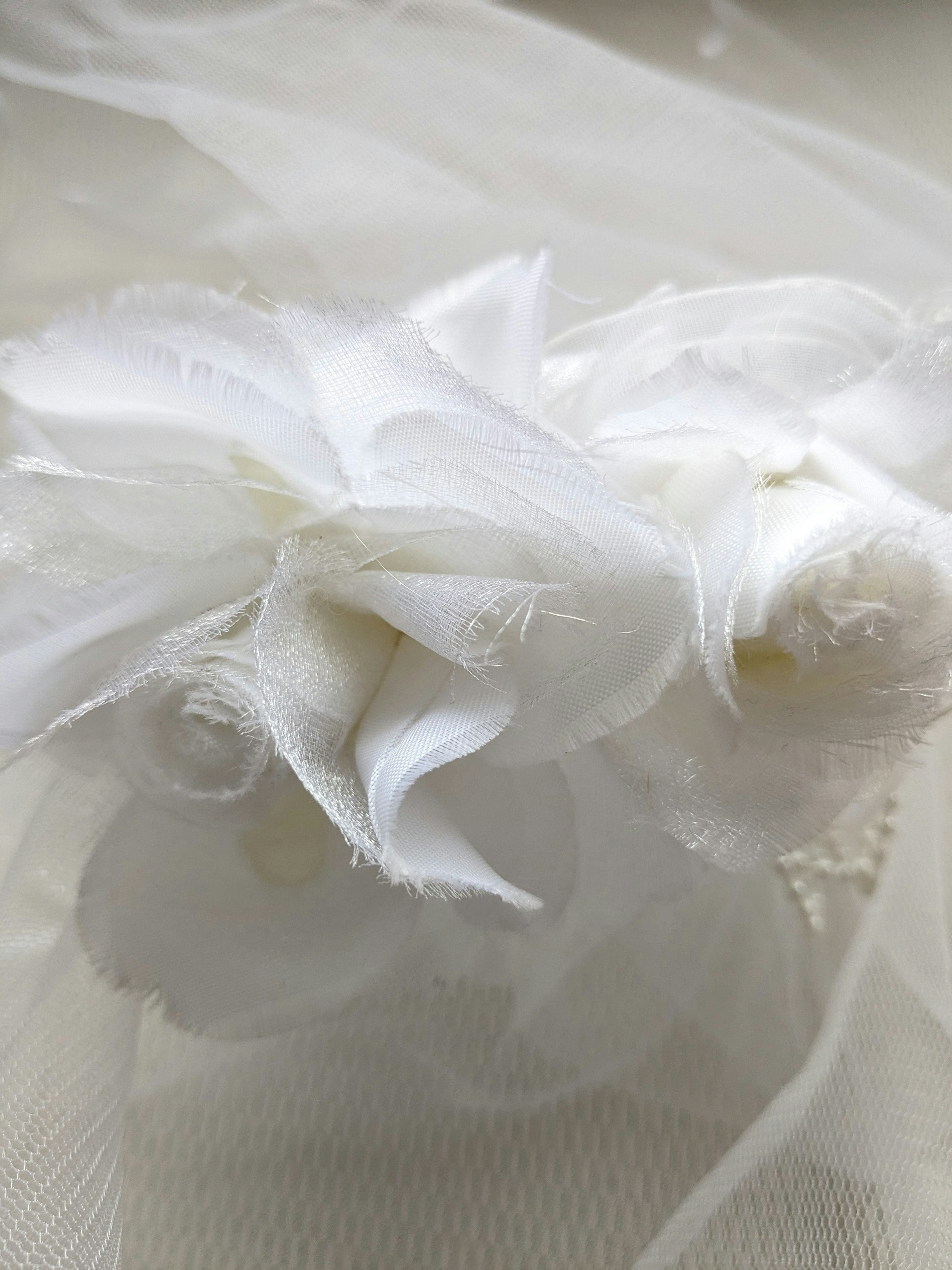 Close-up of white flowers and soft fabric