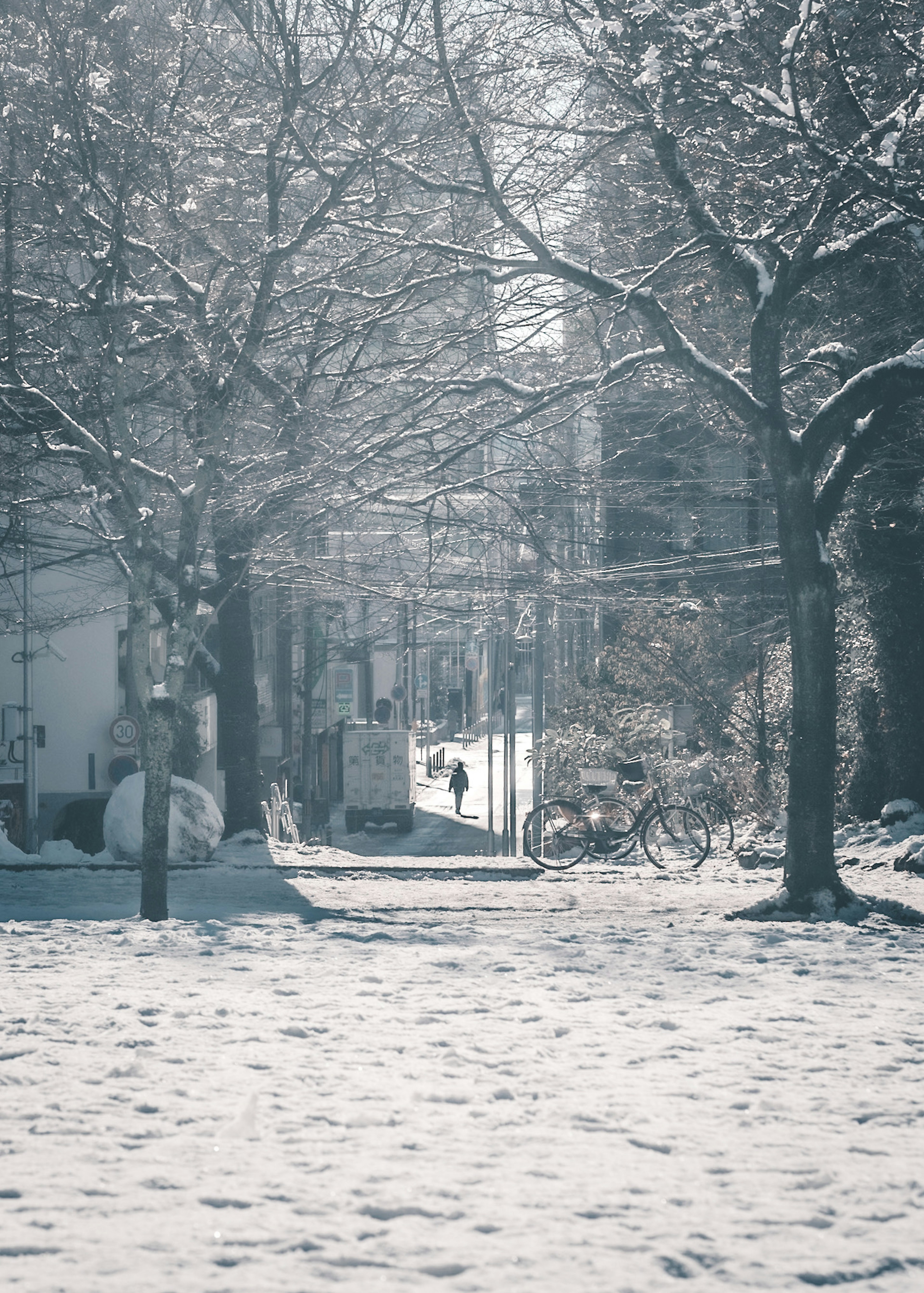 Snow-covered pathway with trees and a person walking