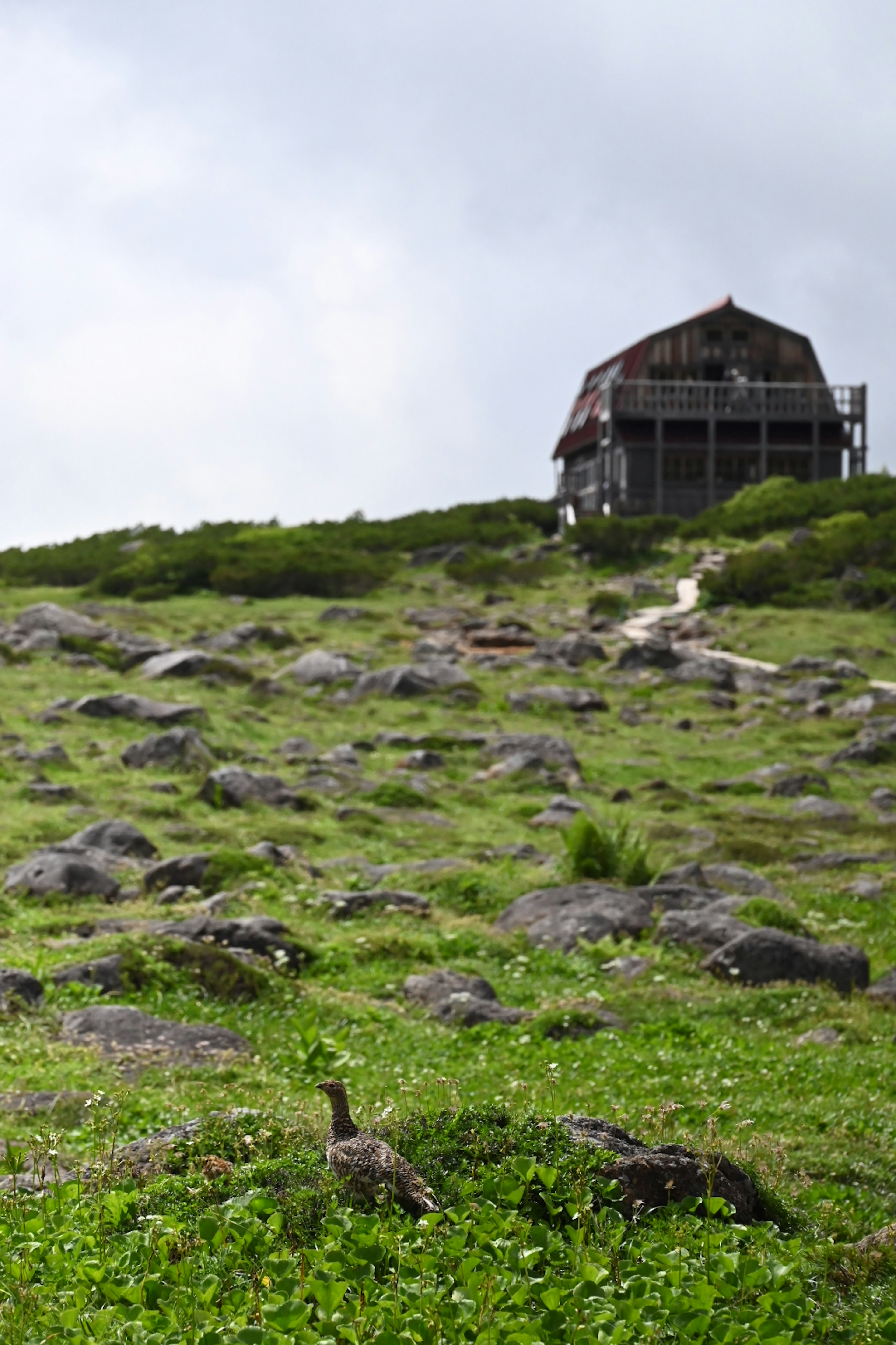 Alte Hütte auf einem mit Gras und Steinen bedeckten Hügel