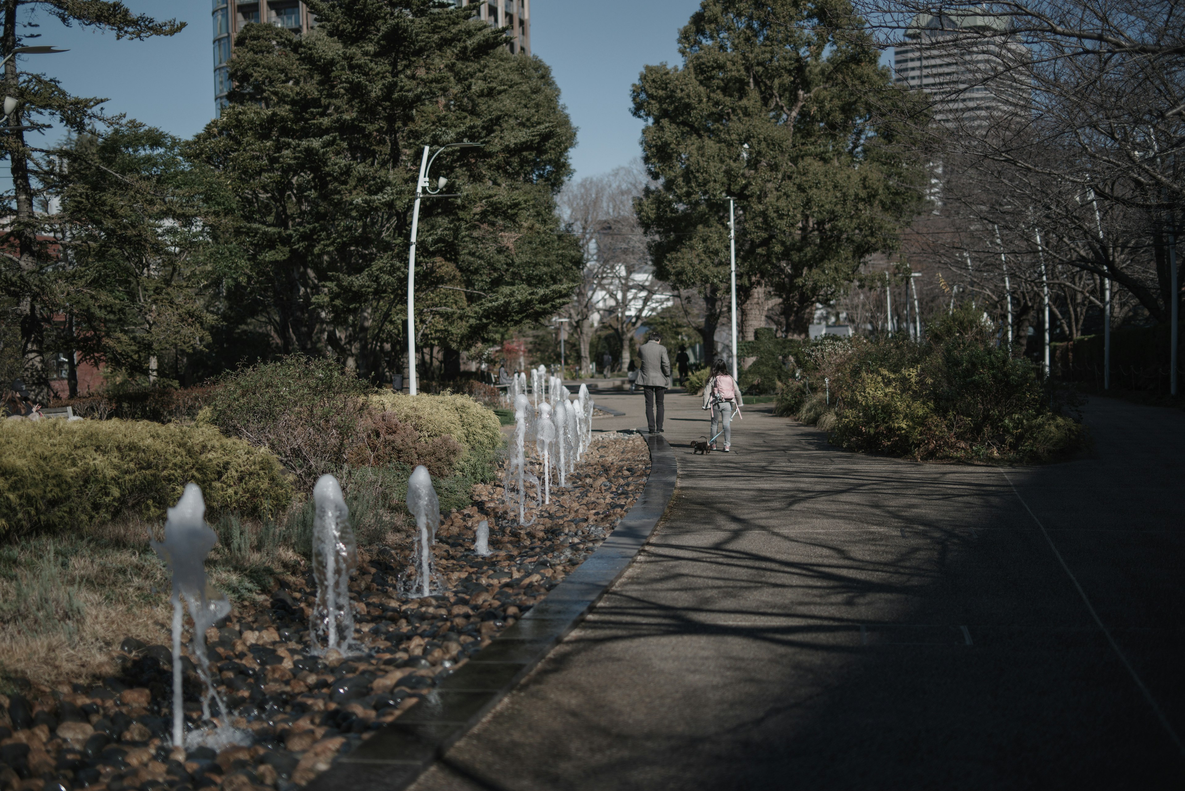 公園の歩道に沿った噴水と緑の木々