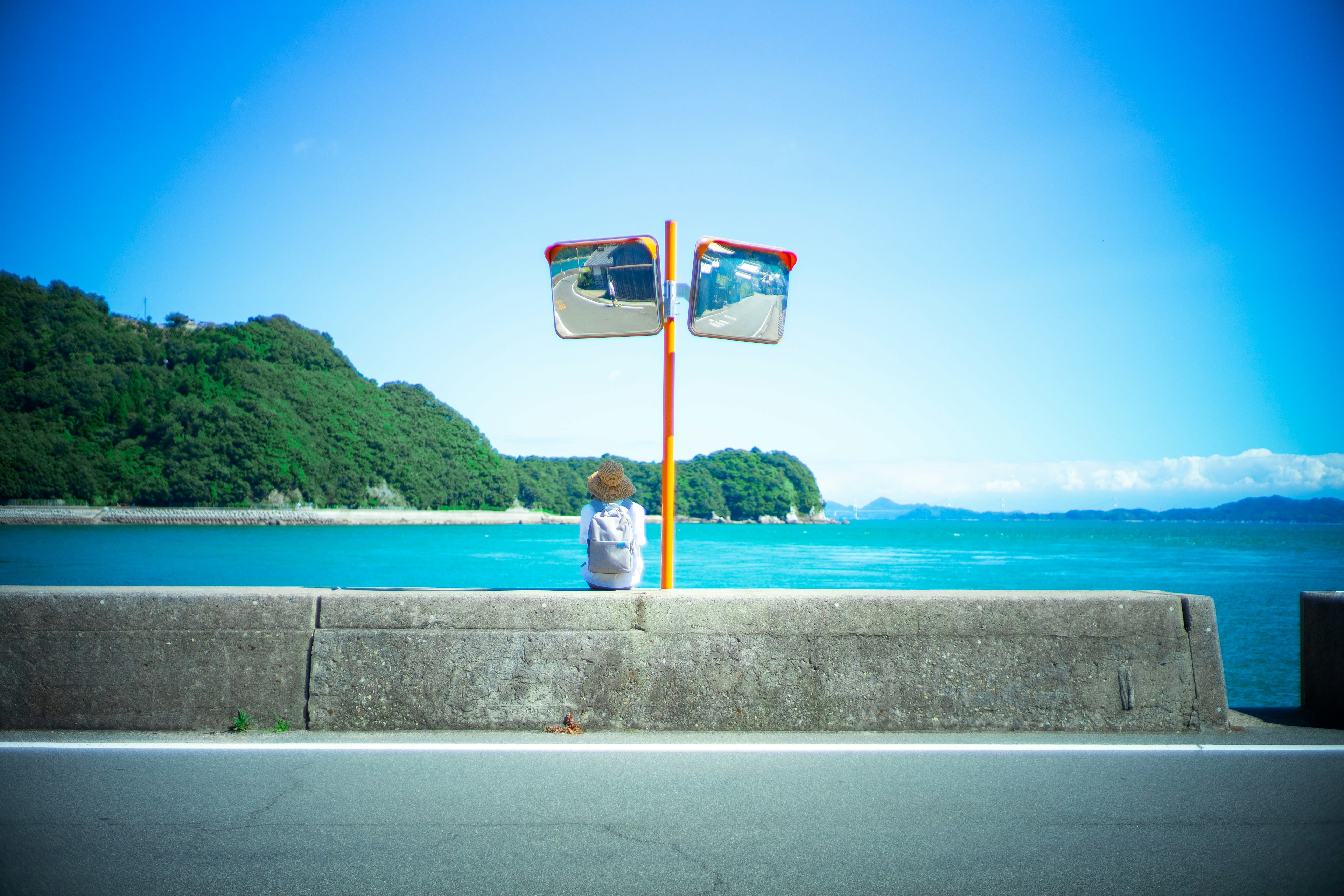 青い海と緑の山々を背景にした二つの標識と座っている人物