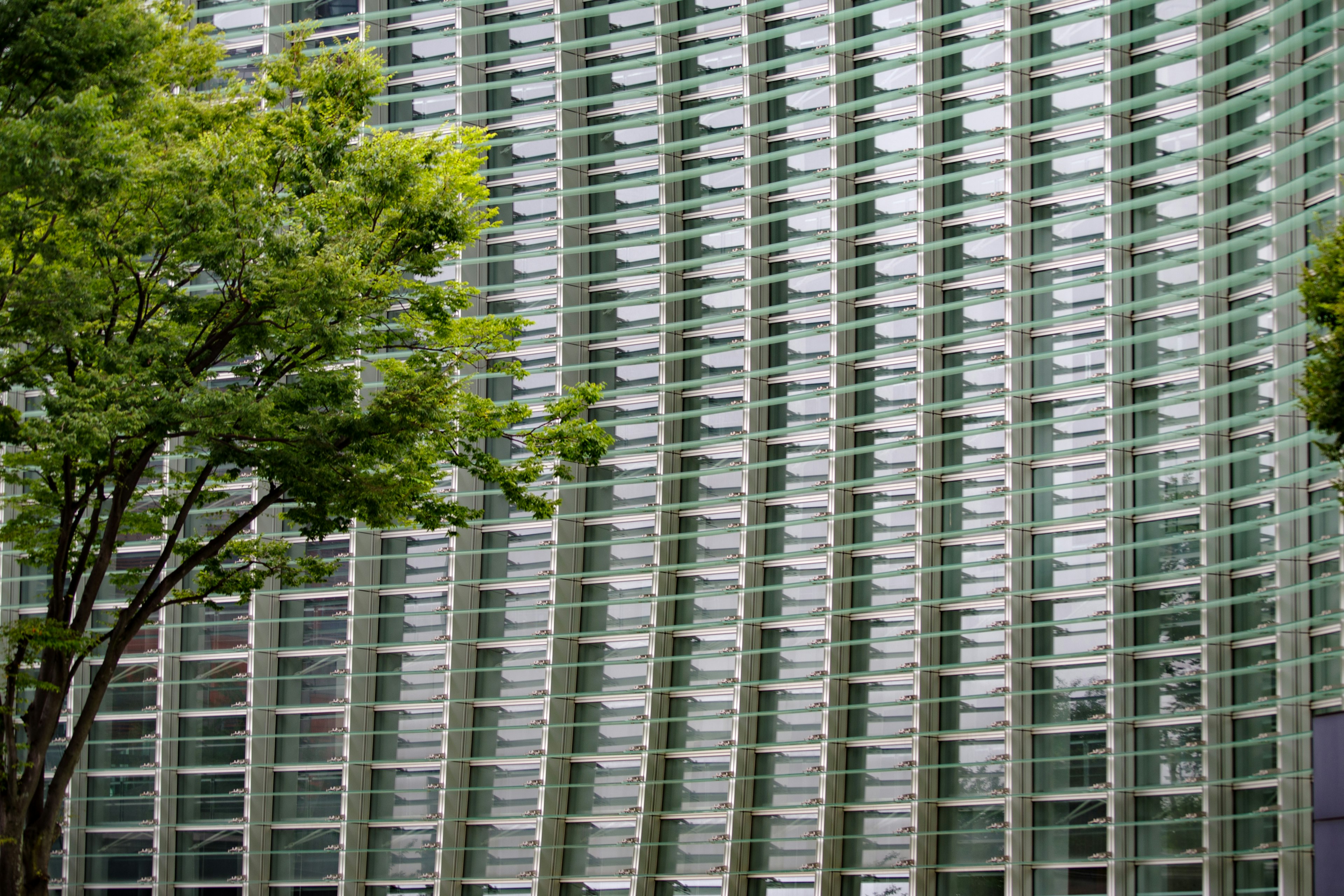 Bâtiment moderne avec façade en verre et arbre vert