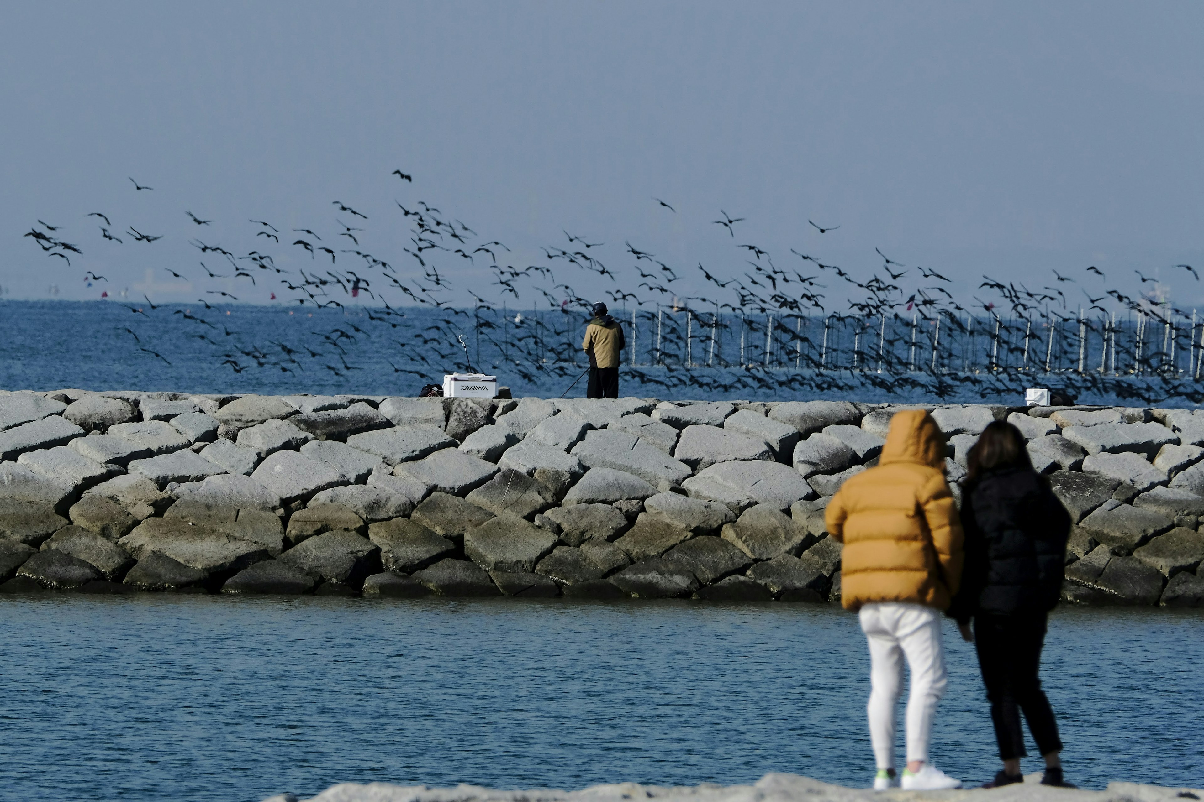 Dua orang berdiri di atas breakwater dengan burung terbang di latar belakang