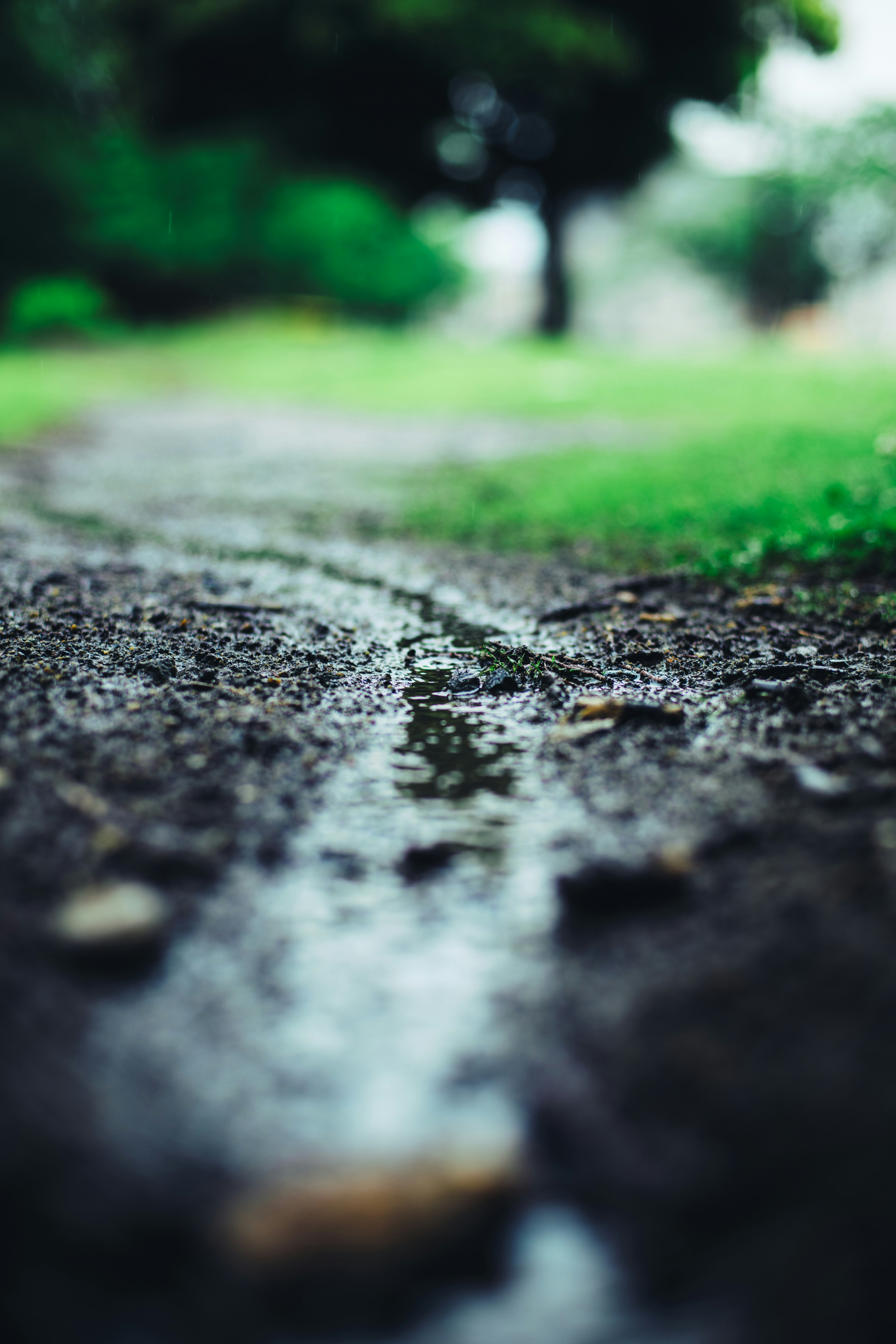 雨の後の小道に水たまりができている様子