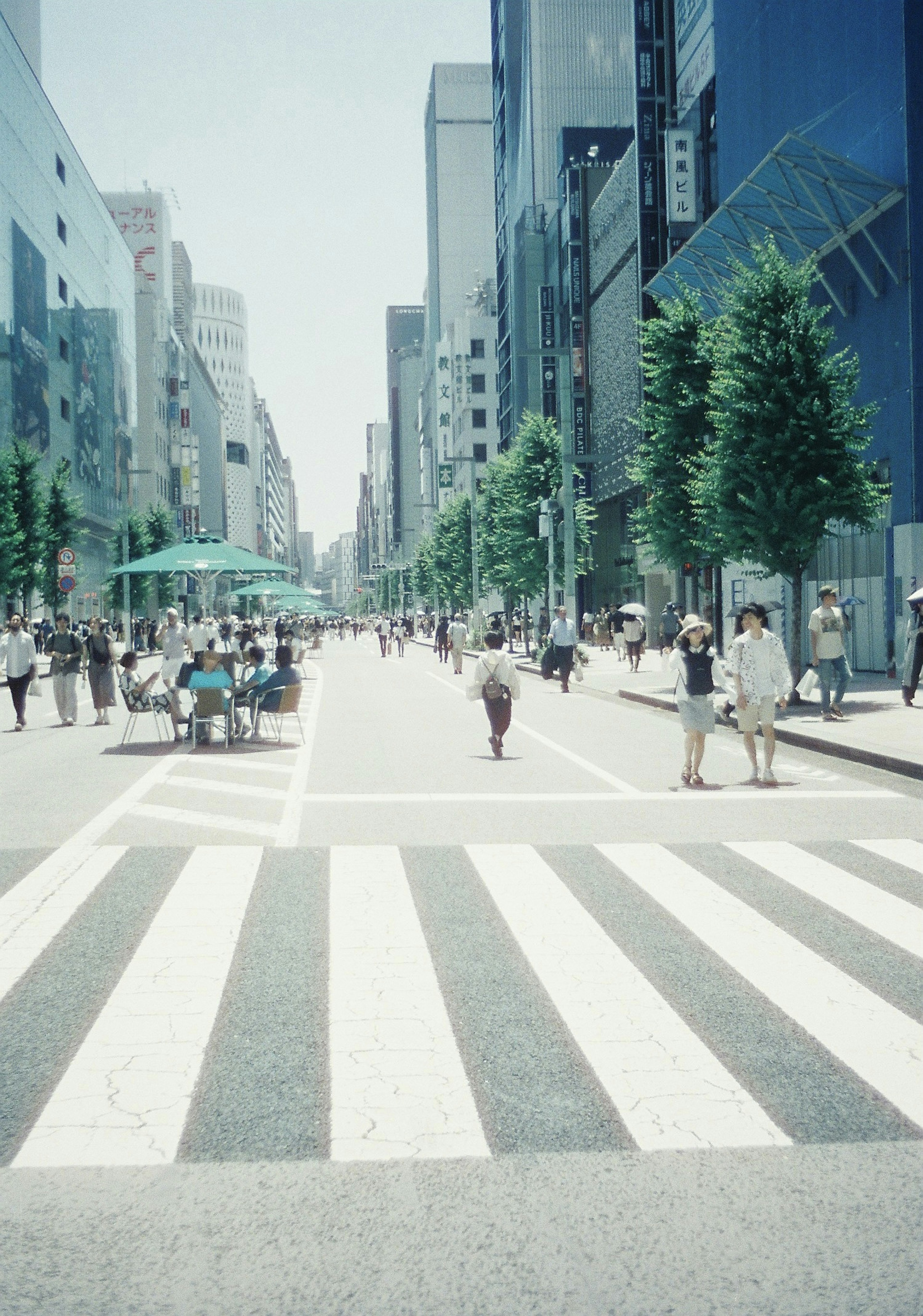 青空の下で賑わう都市の通りと人々