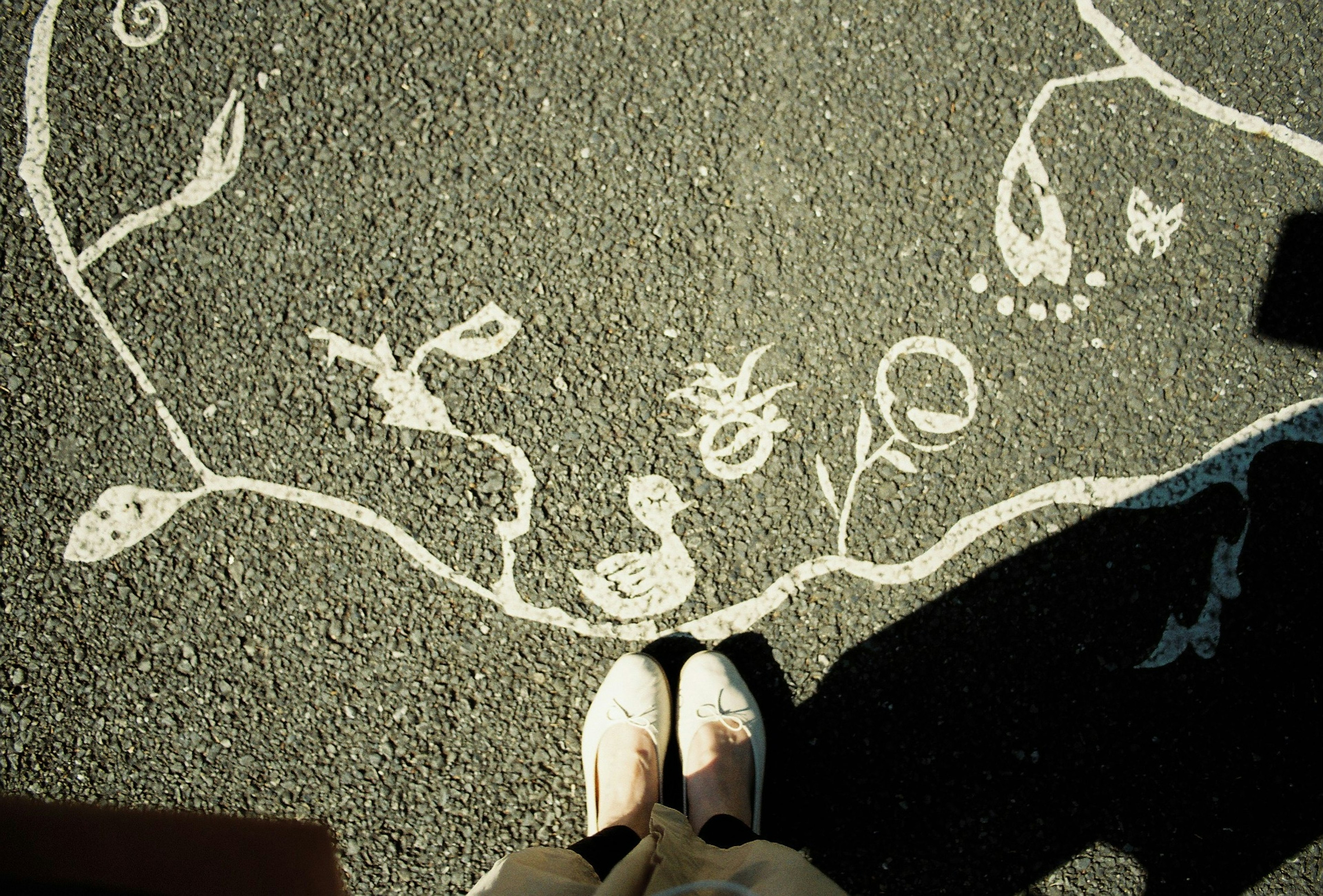 Feet standing on asphalt with white floral and leaf patterns