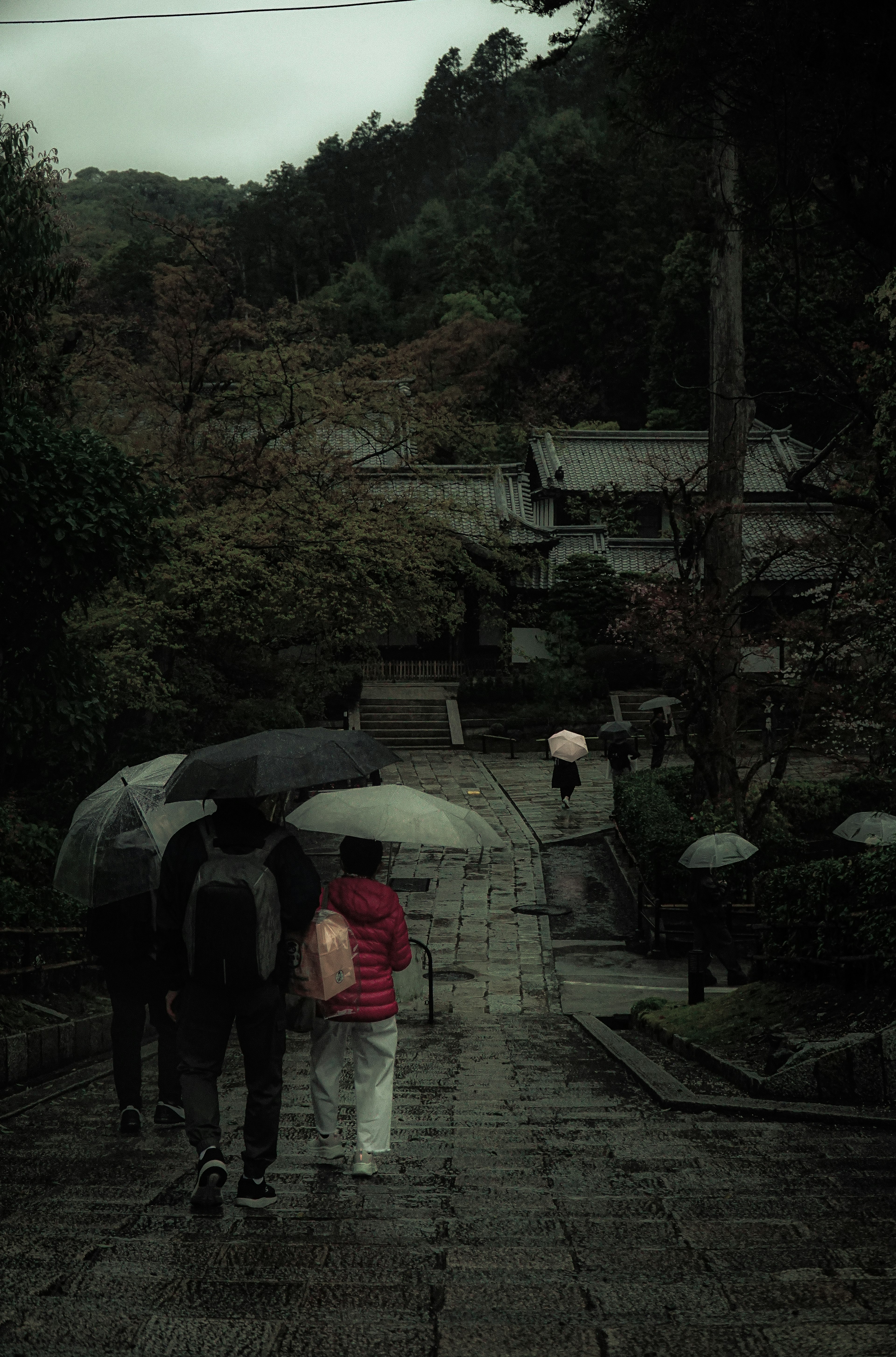 傘を持った人々が石の道を歩いている風景