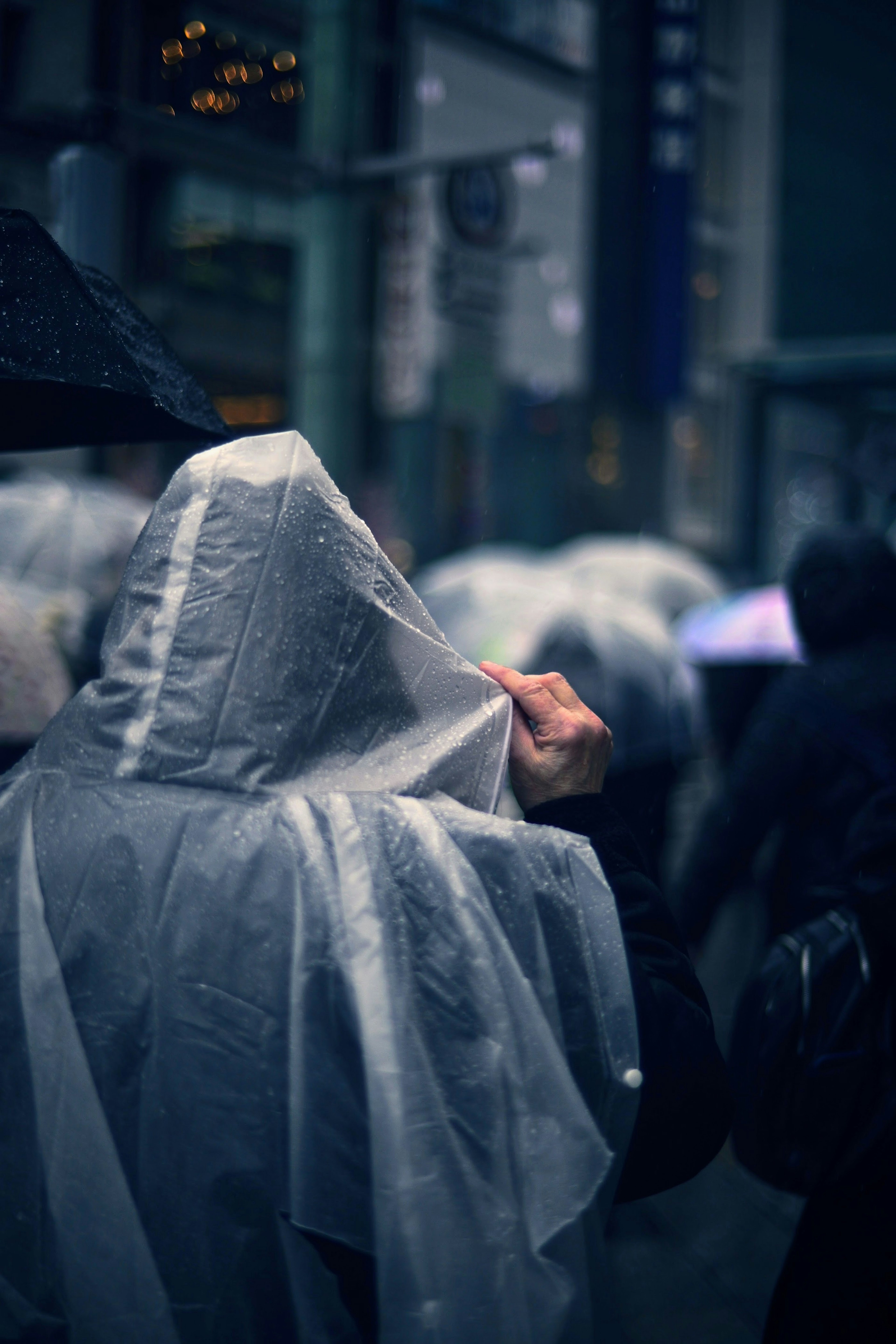 雨の中で透明なレインコートを着た人々の後ろ姿