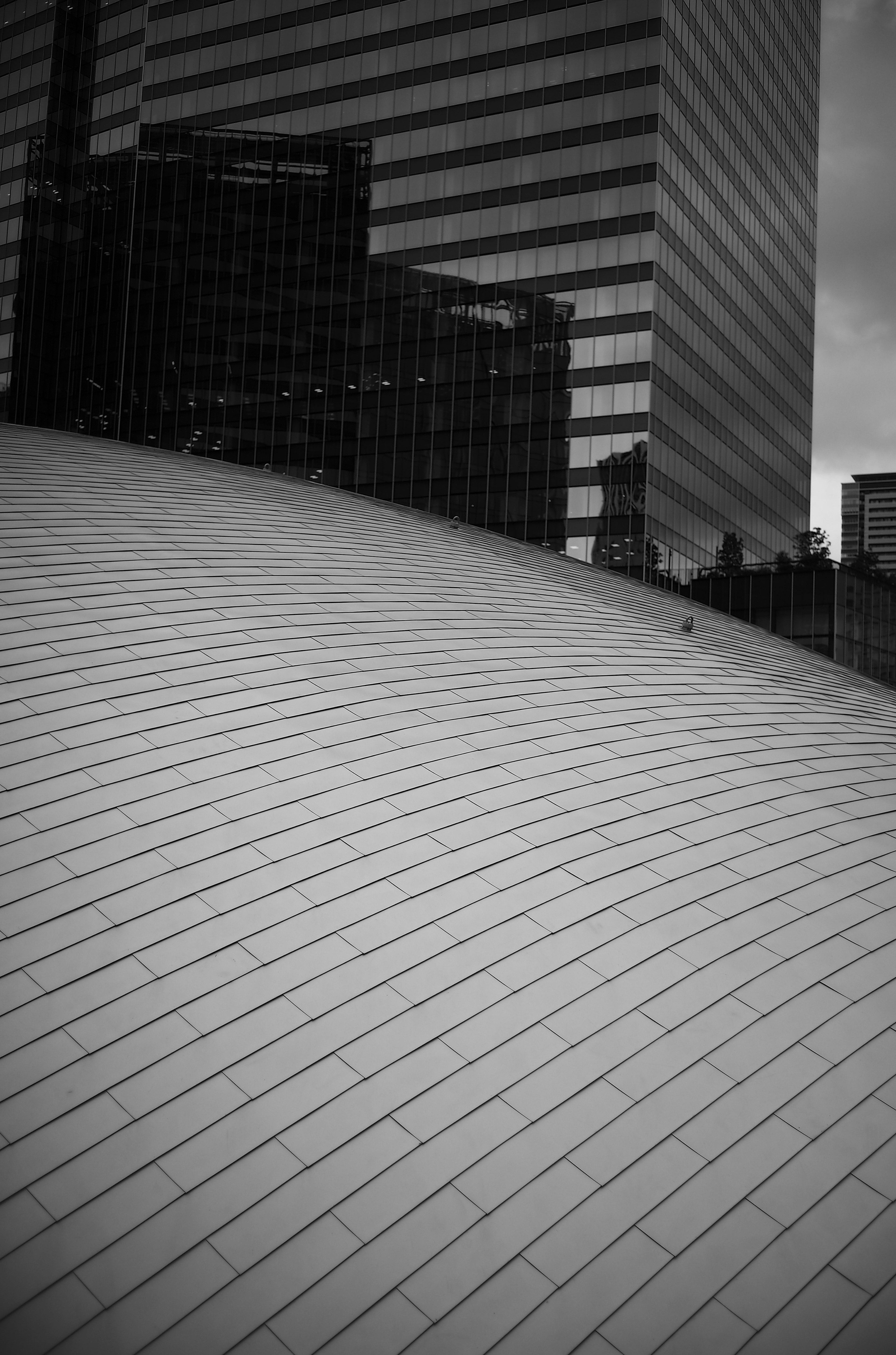 Contrast of smooth curved roof and skyscrapers in black and white