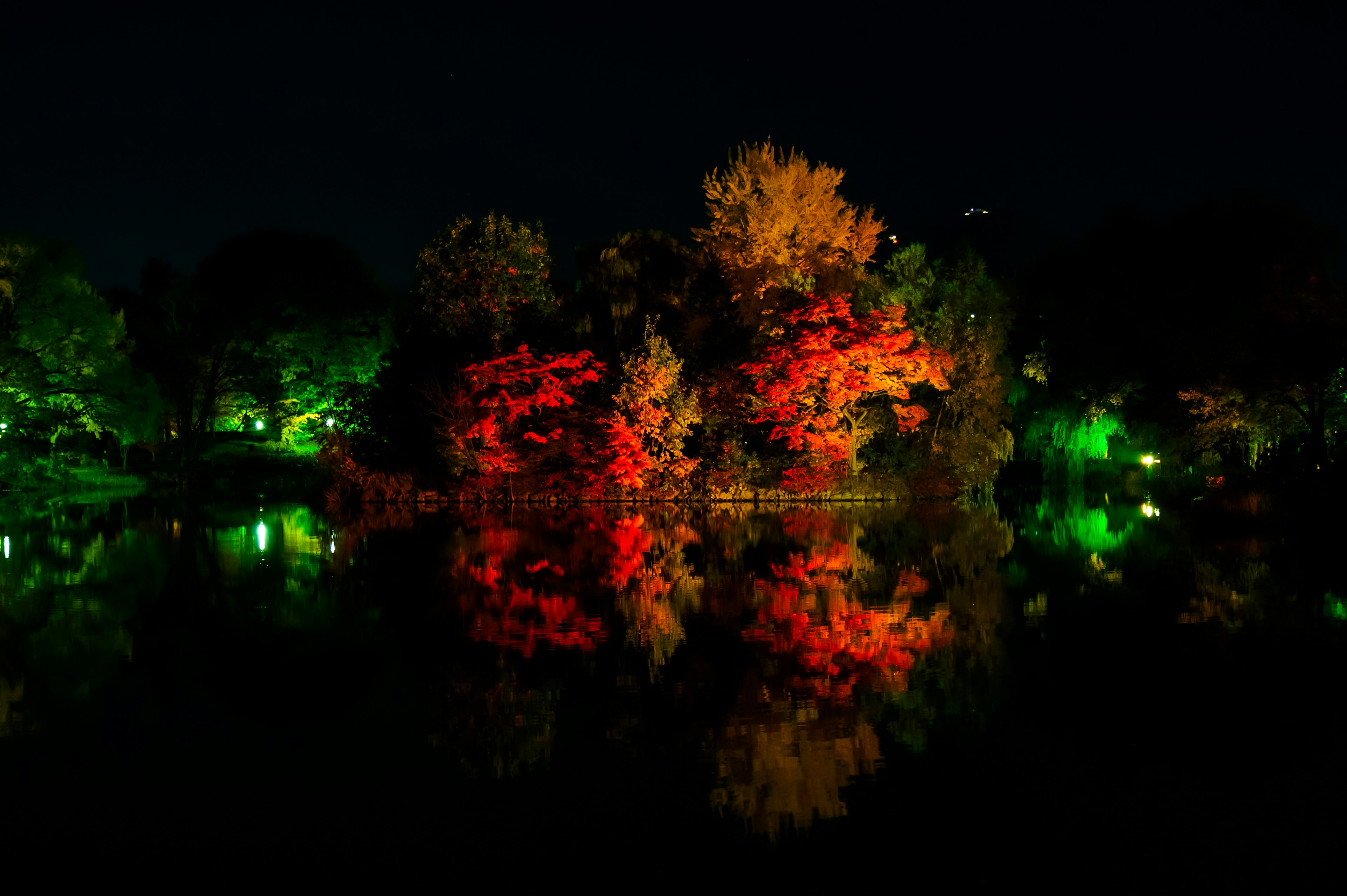 Vibrant trees reflecting in a calm pond at night with green lights