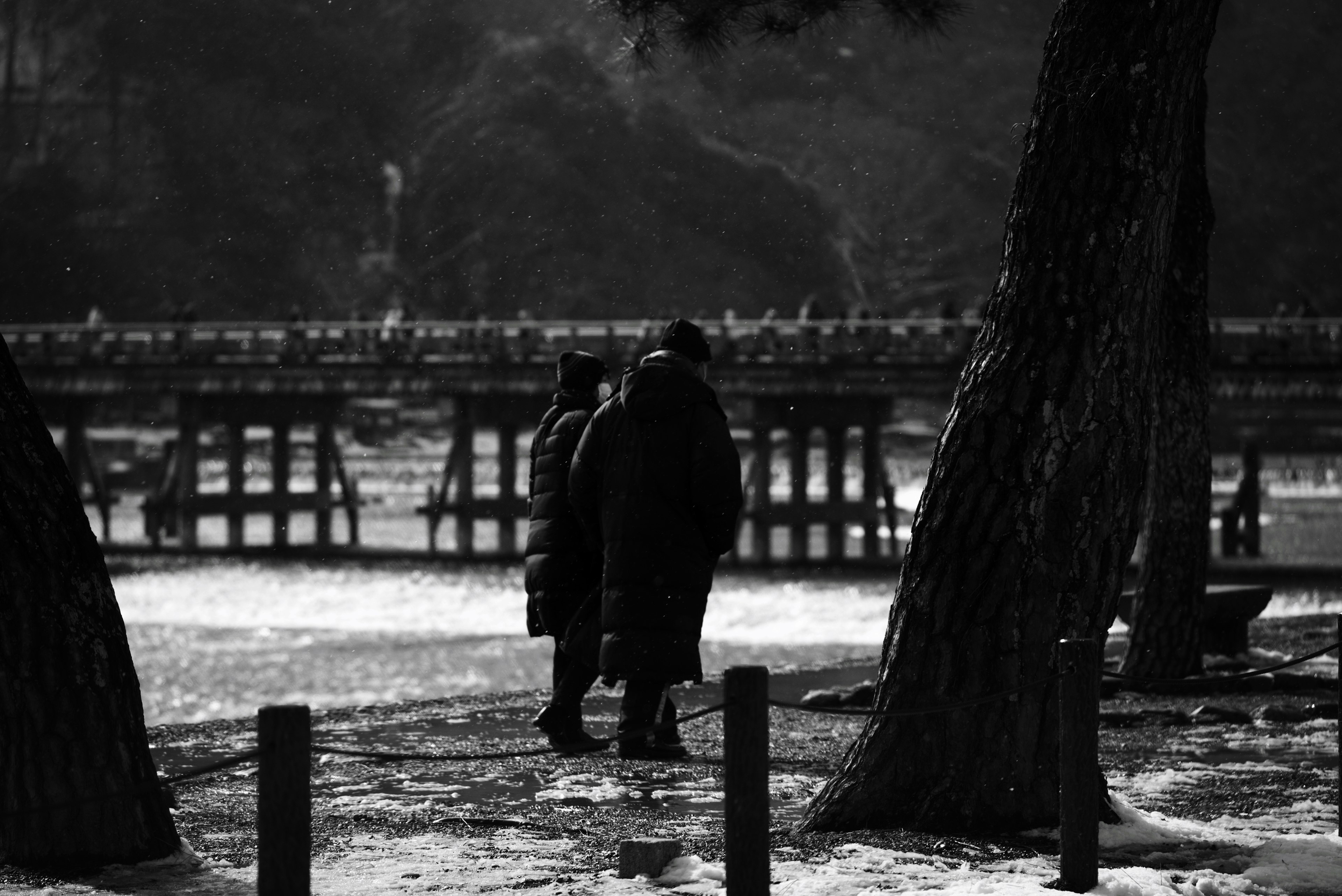 Una pareja compartiendo un momento íntimo en un paisaje en blanco y negro con árboles