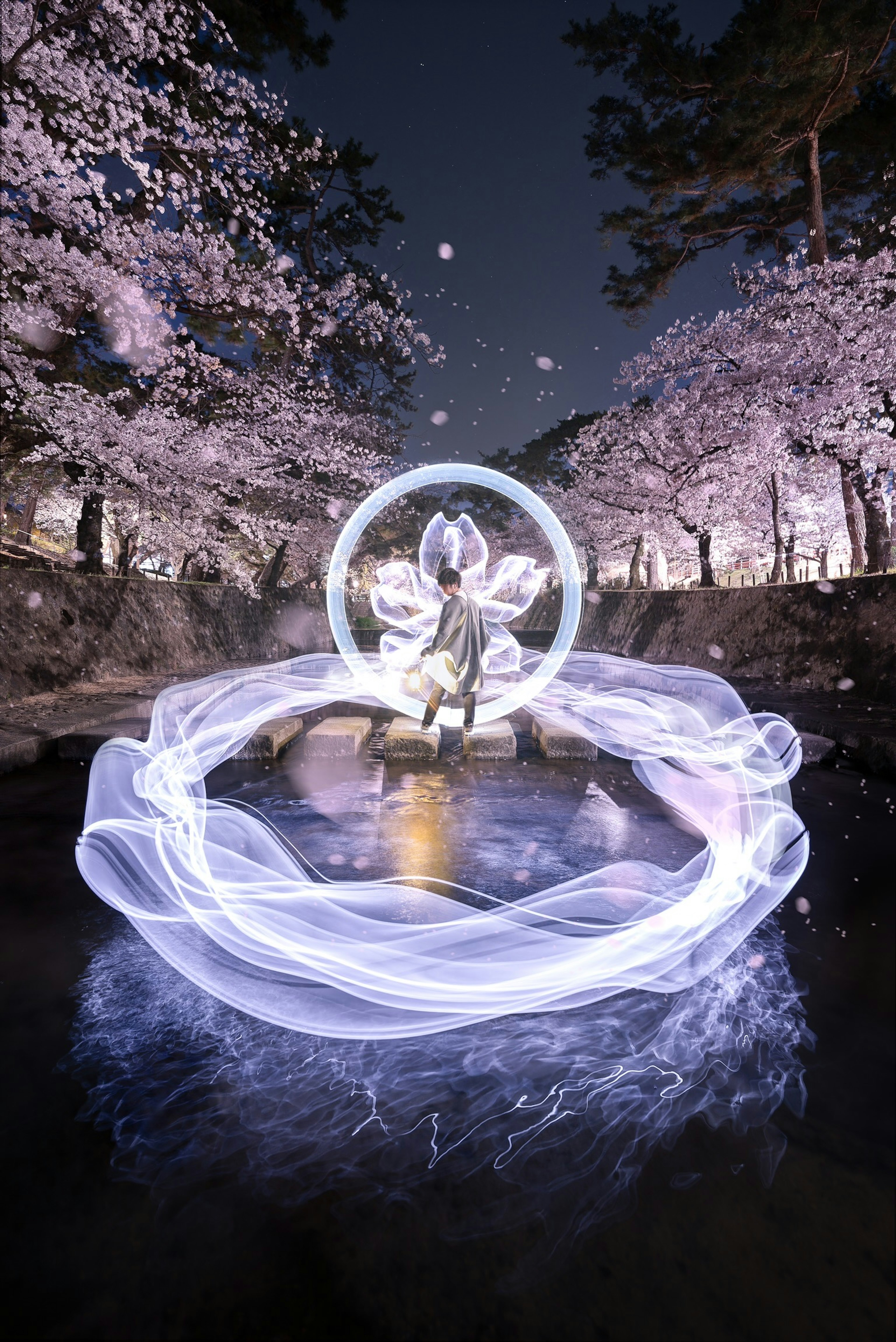 A figure holding a glowing circle stands beneath cherry blossoms at night