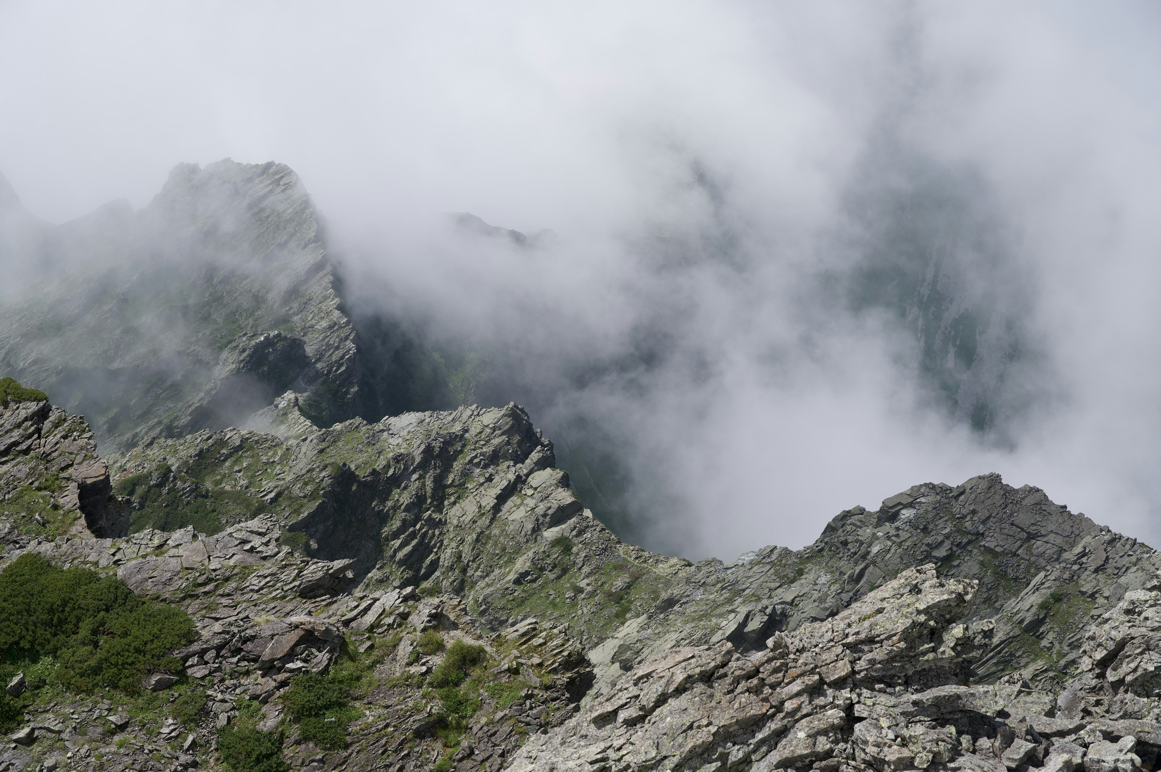 霧に覆われた山の風景 鋭い岩の峰と草地が見える