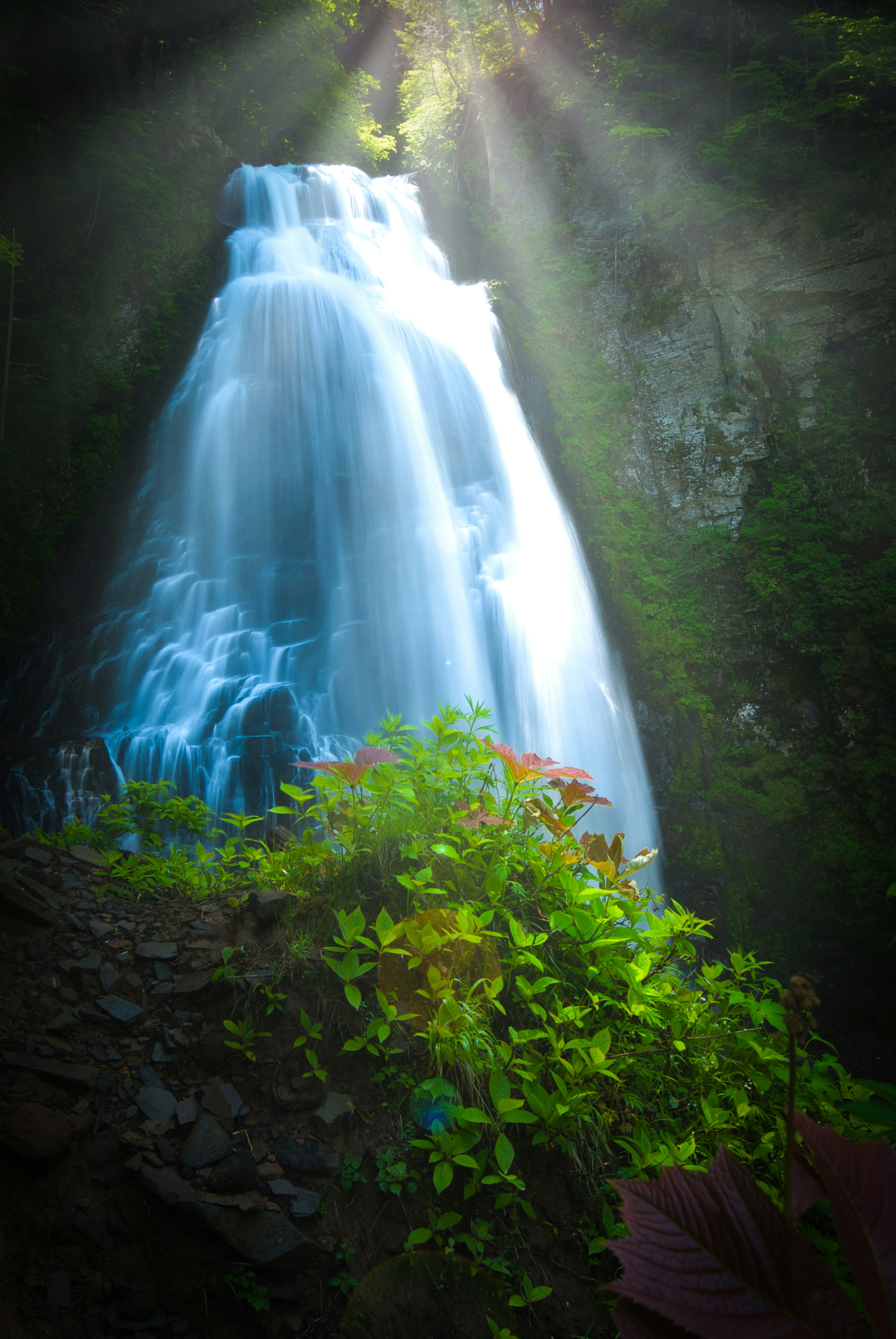 A stunning waterfall cascading with blue water surrounded by lush green plants