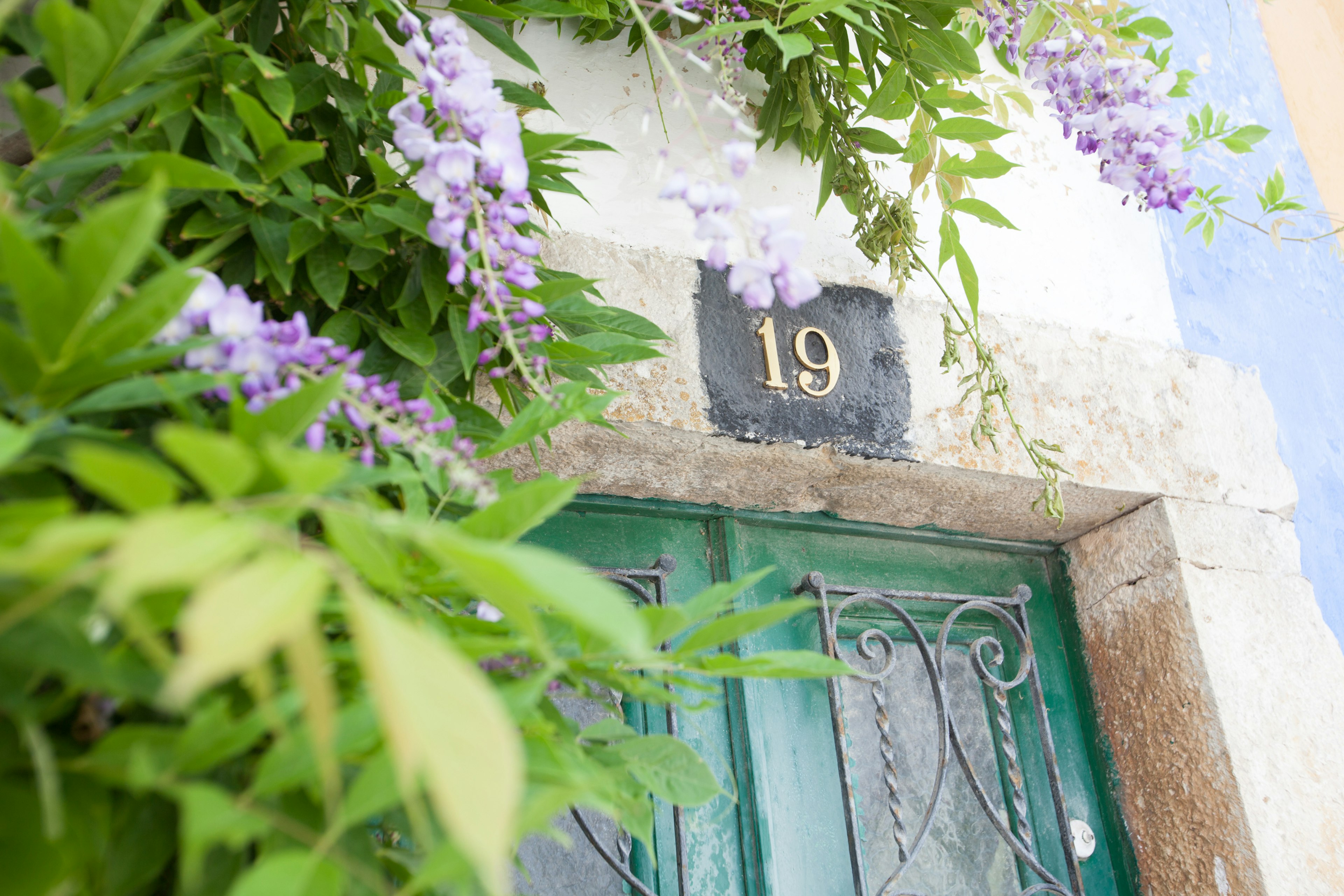 Puerta verde con el número 19 rodeada de plantas con flores moradas