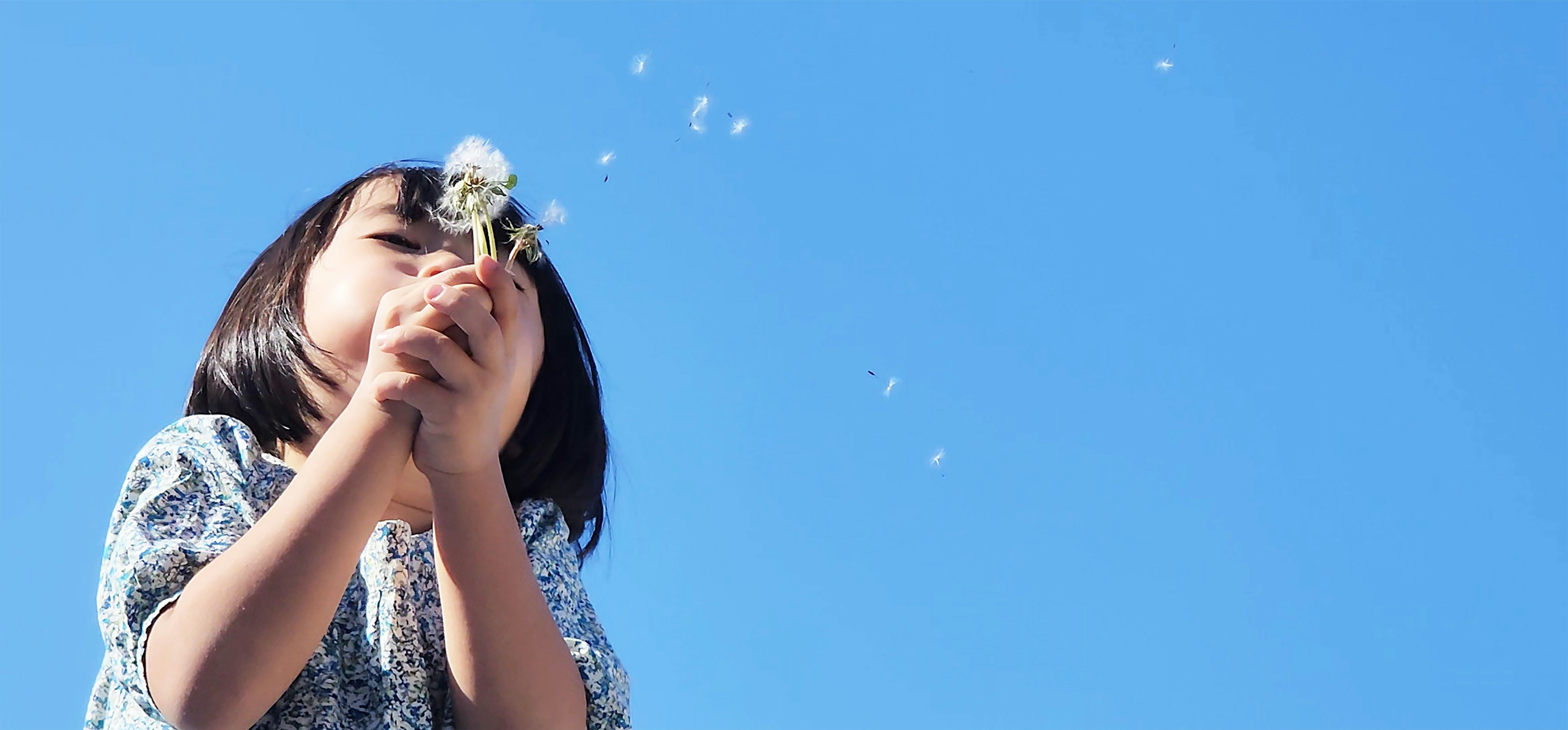 Seorang gadis yang meniup dandelion di bawah langit biru