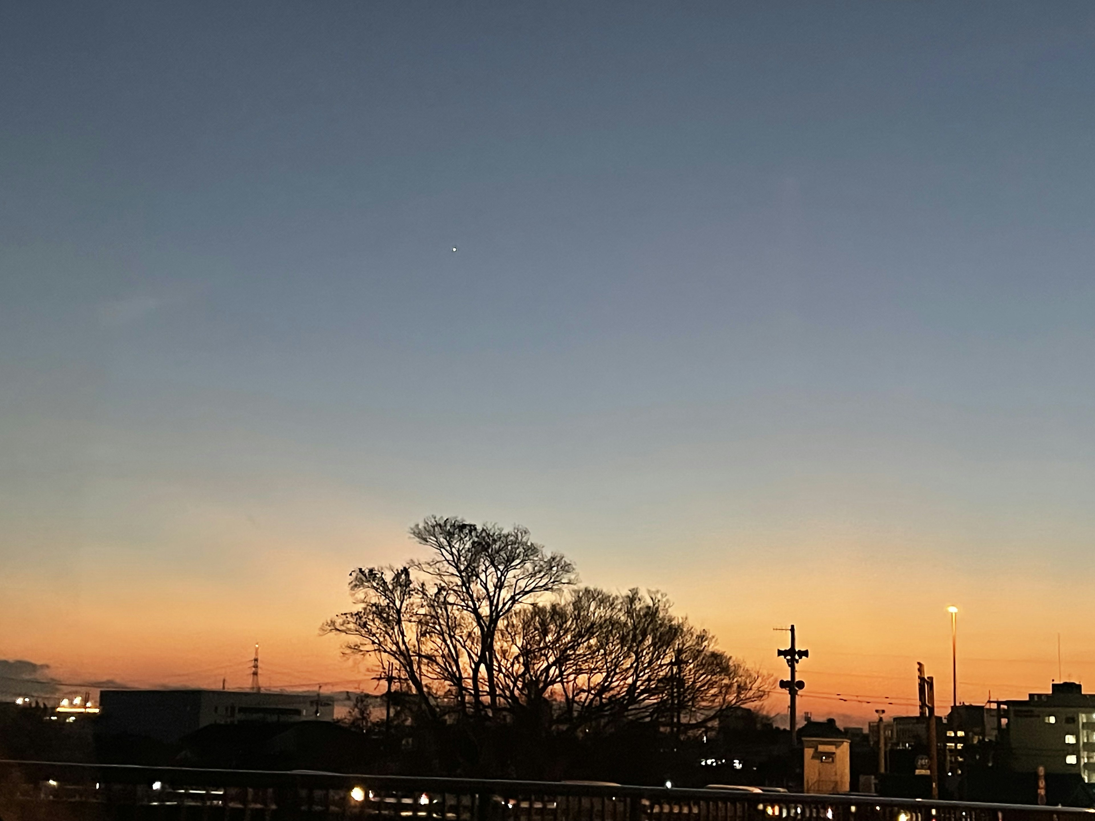 夕暮れの空にシルエットの木と都市の景色