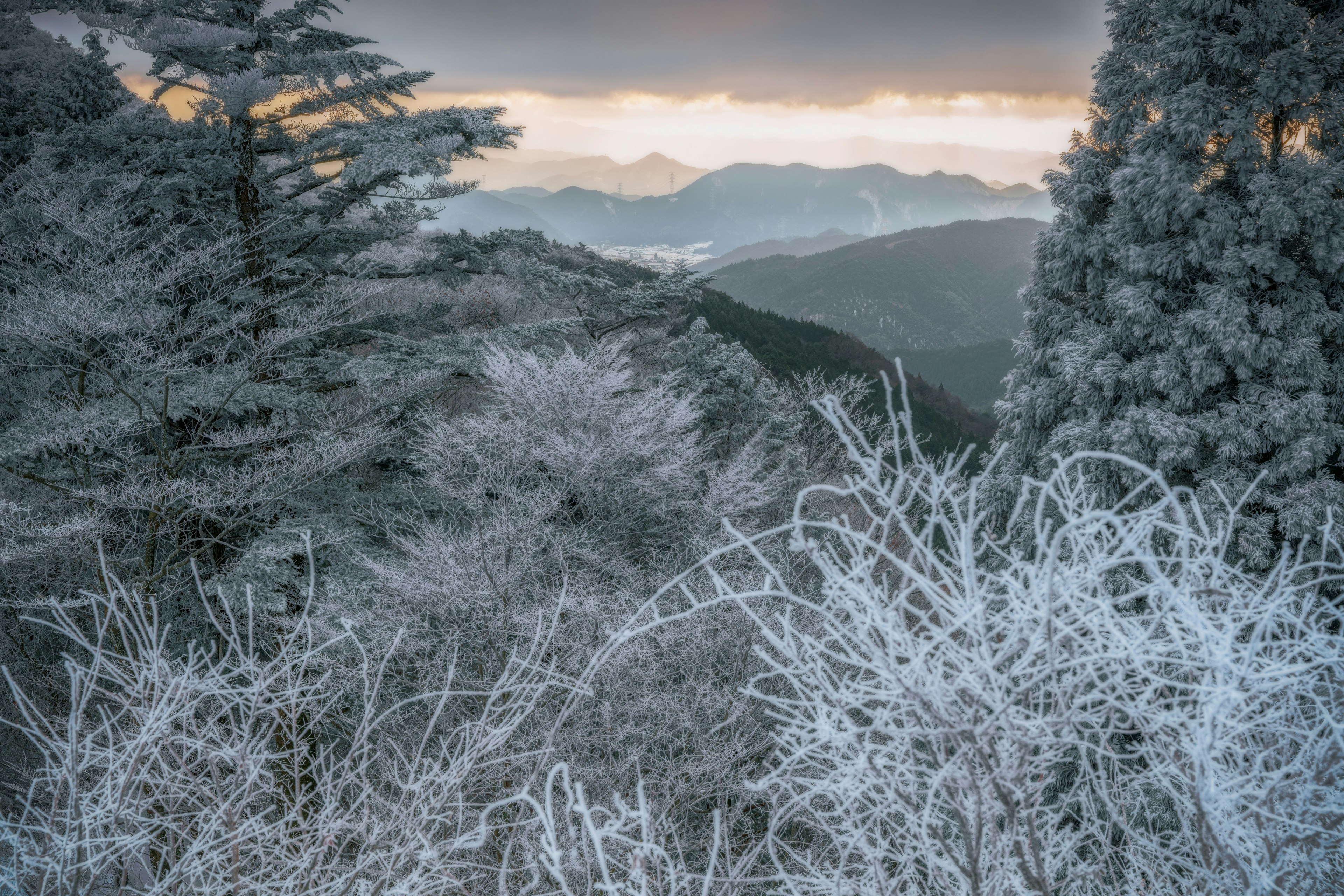Montañas cubiertas de nieve con árboles helados y un cielo nublado