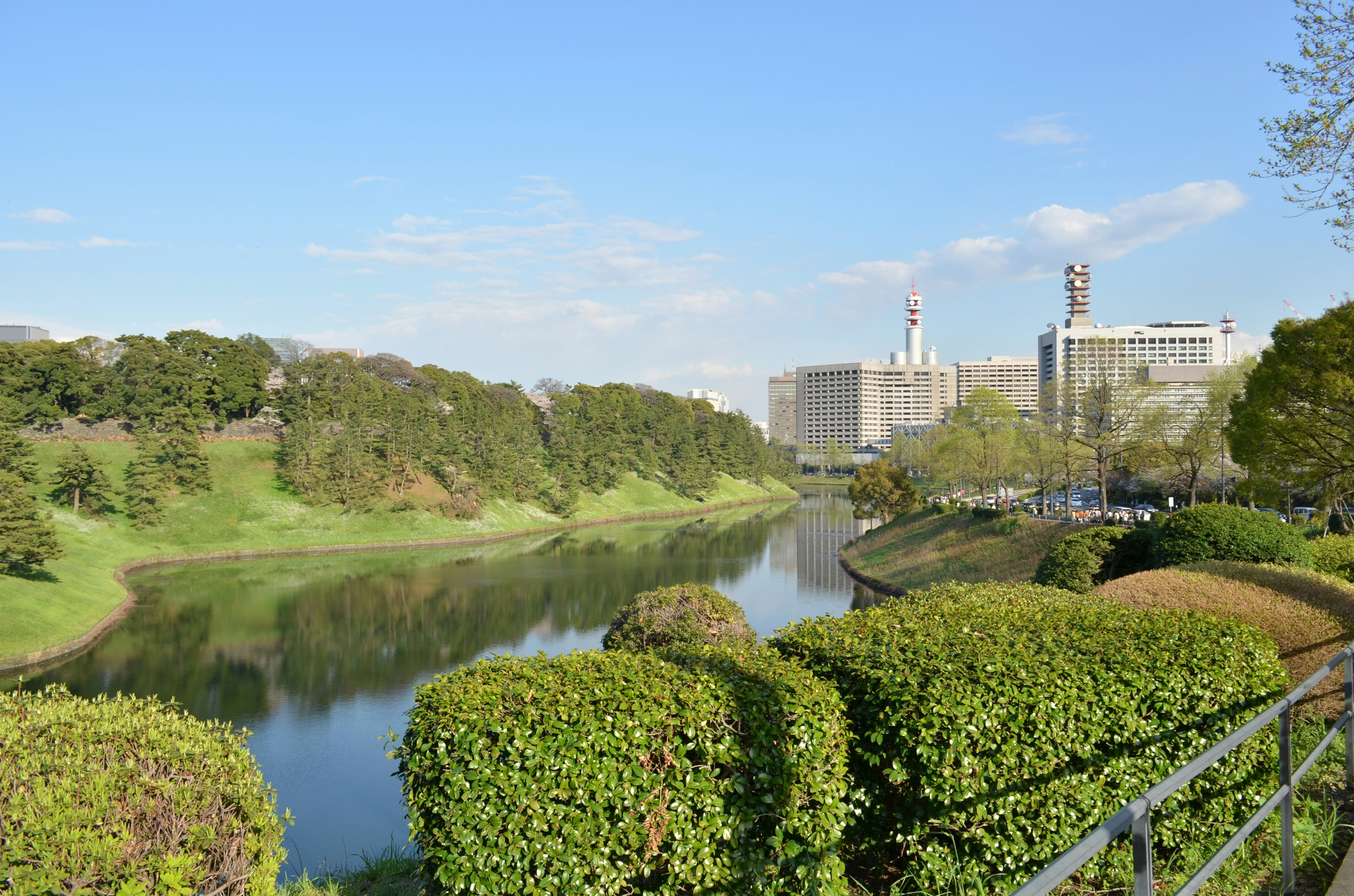 公園の川と緑の植栽の風景