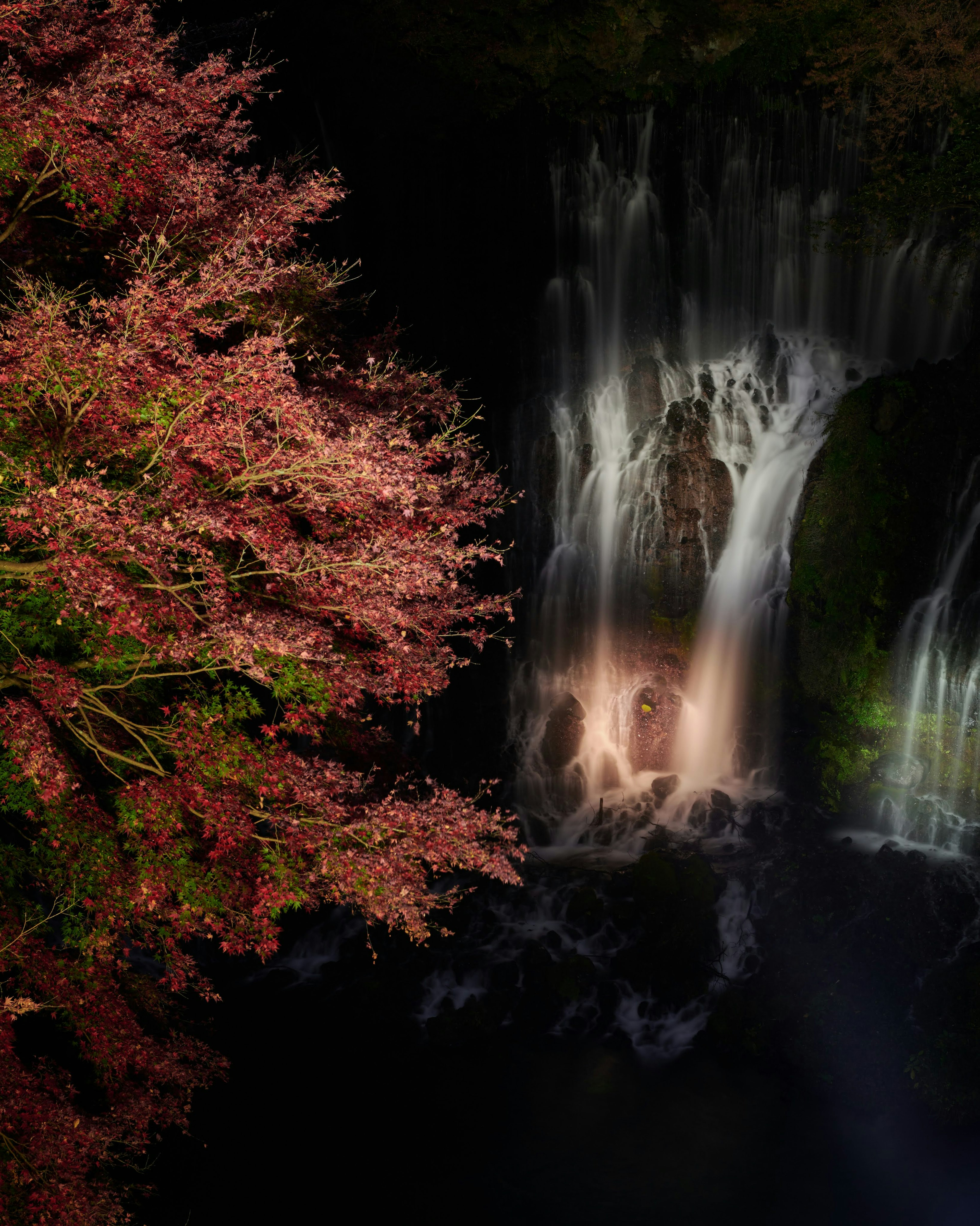 Schöne Landschaft mit einem Ahornbaum und einem Wasserfall