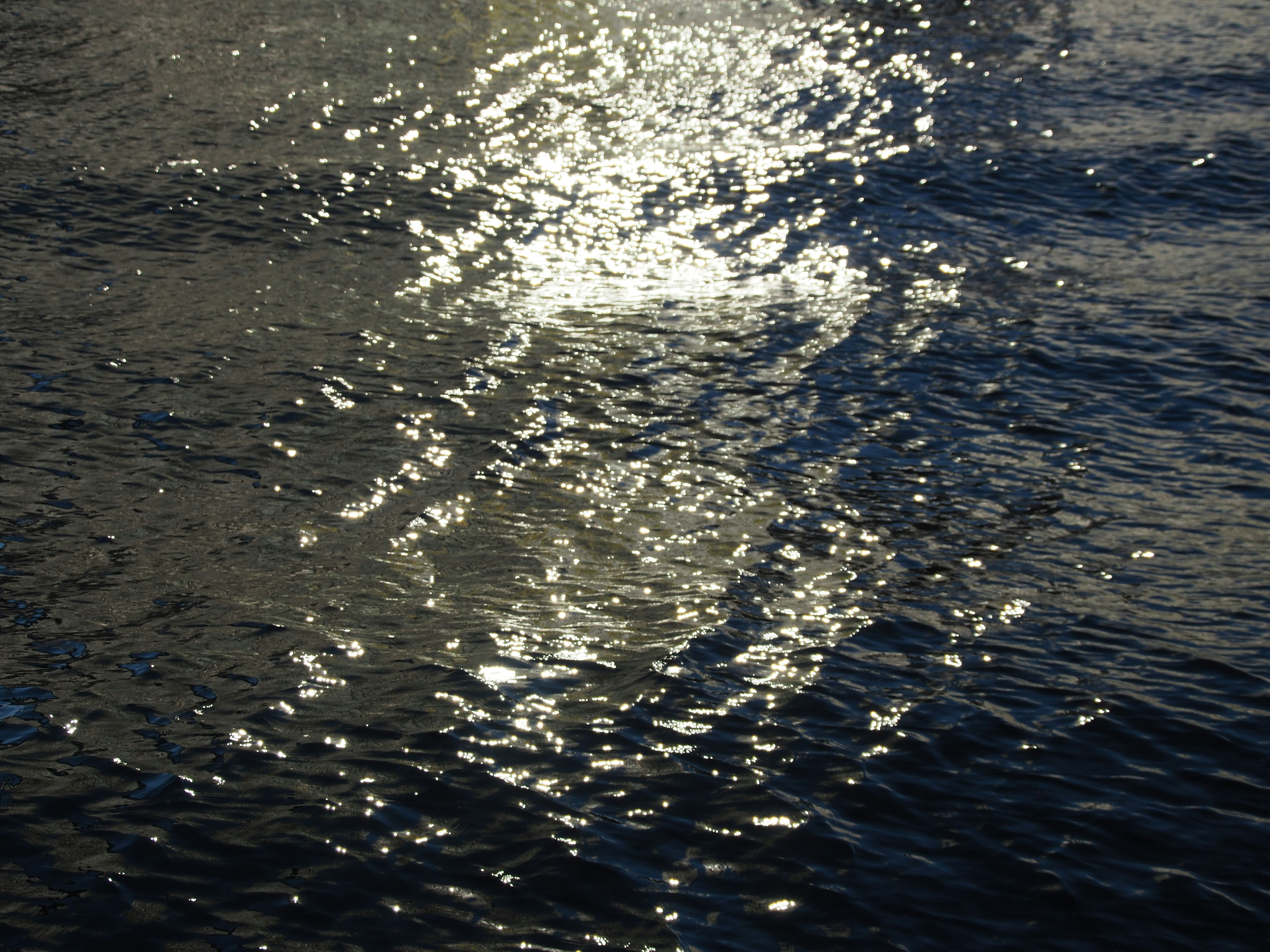 Glittering sunlight reflecting on the surface of water