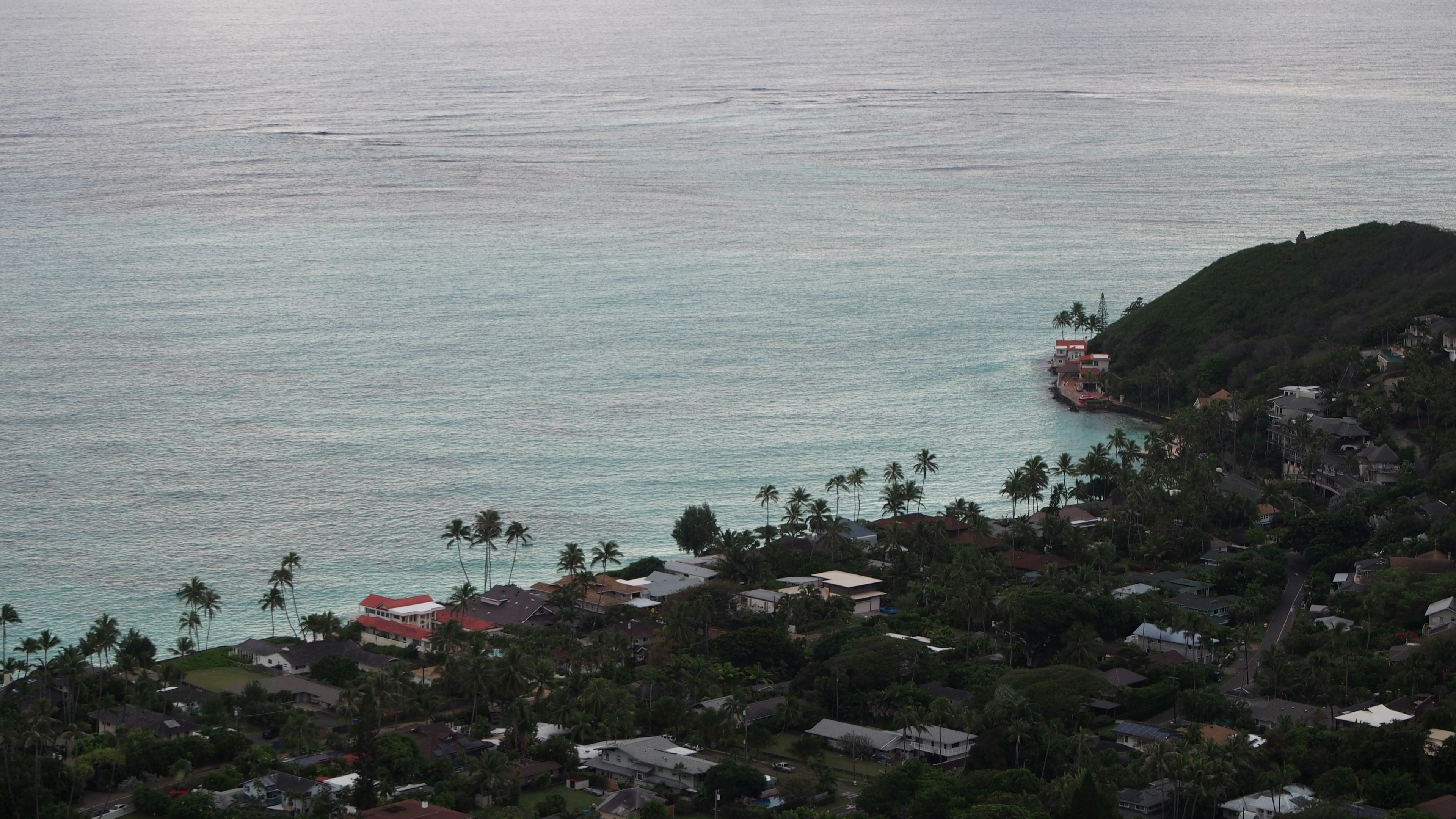 Vue aérienne d'une côte sereine avec de l'eau turquoise et des palmiers