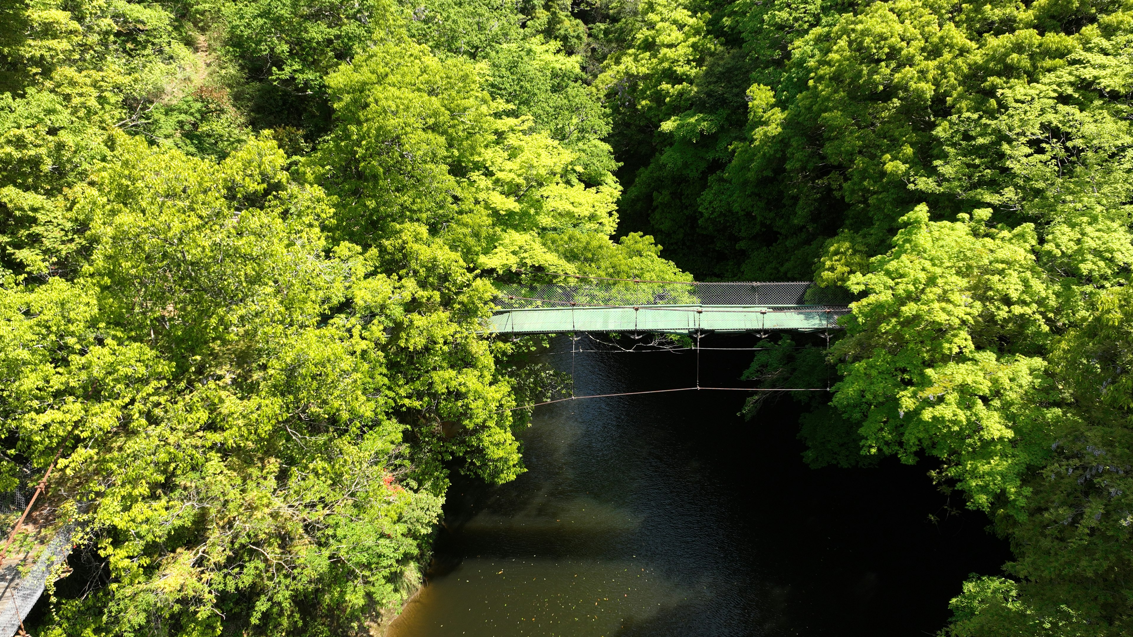 A bridge over a serene river surrounded by lush green trees