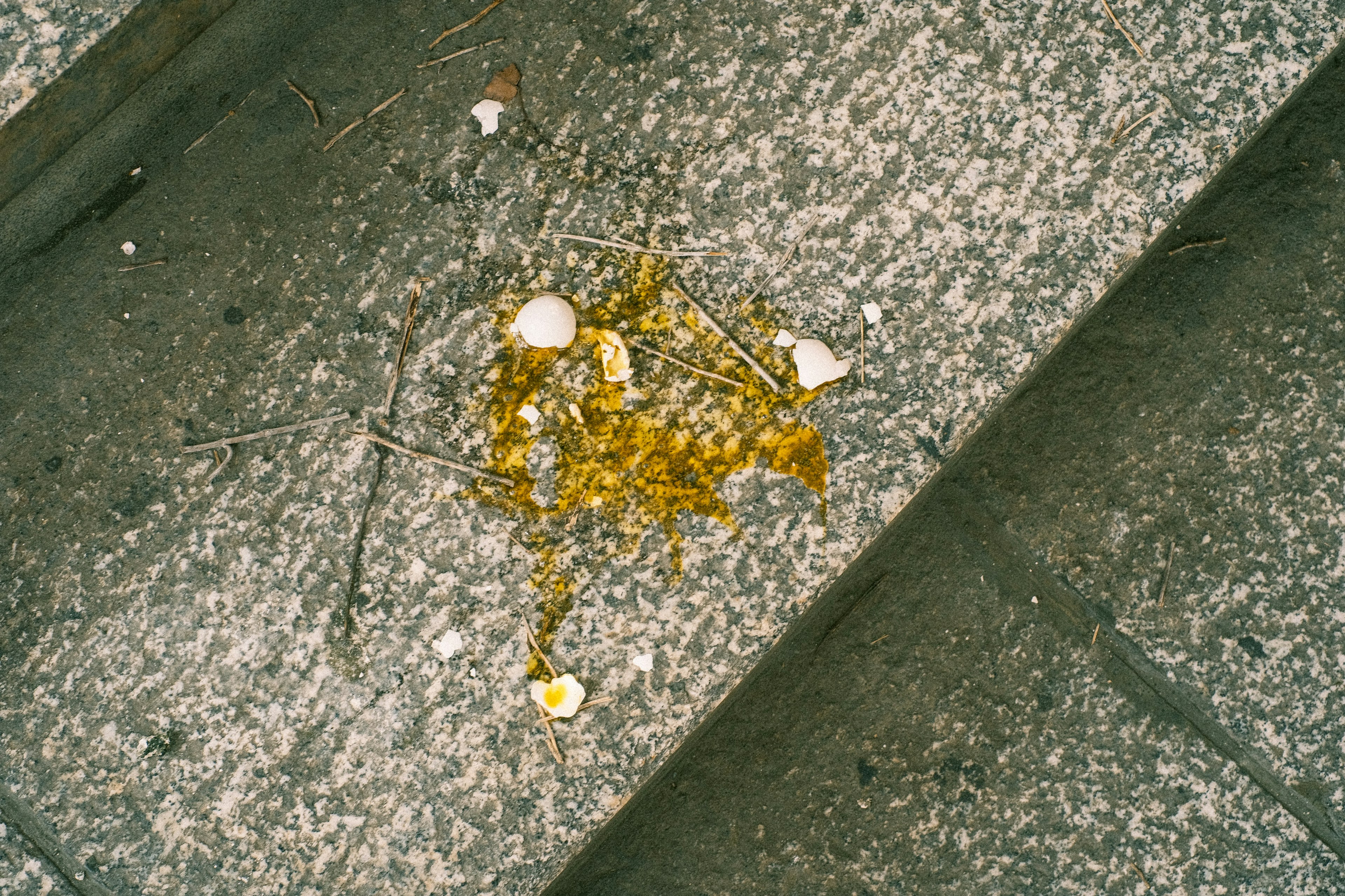 Coquilles d'œufs et liquide jaune sur le sol