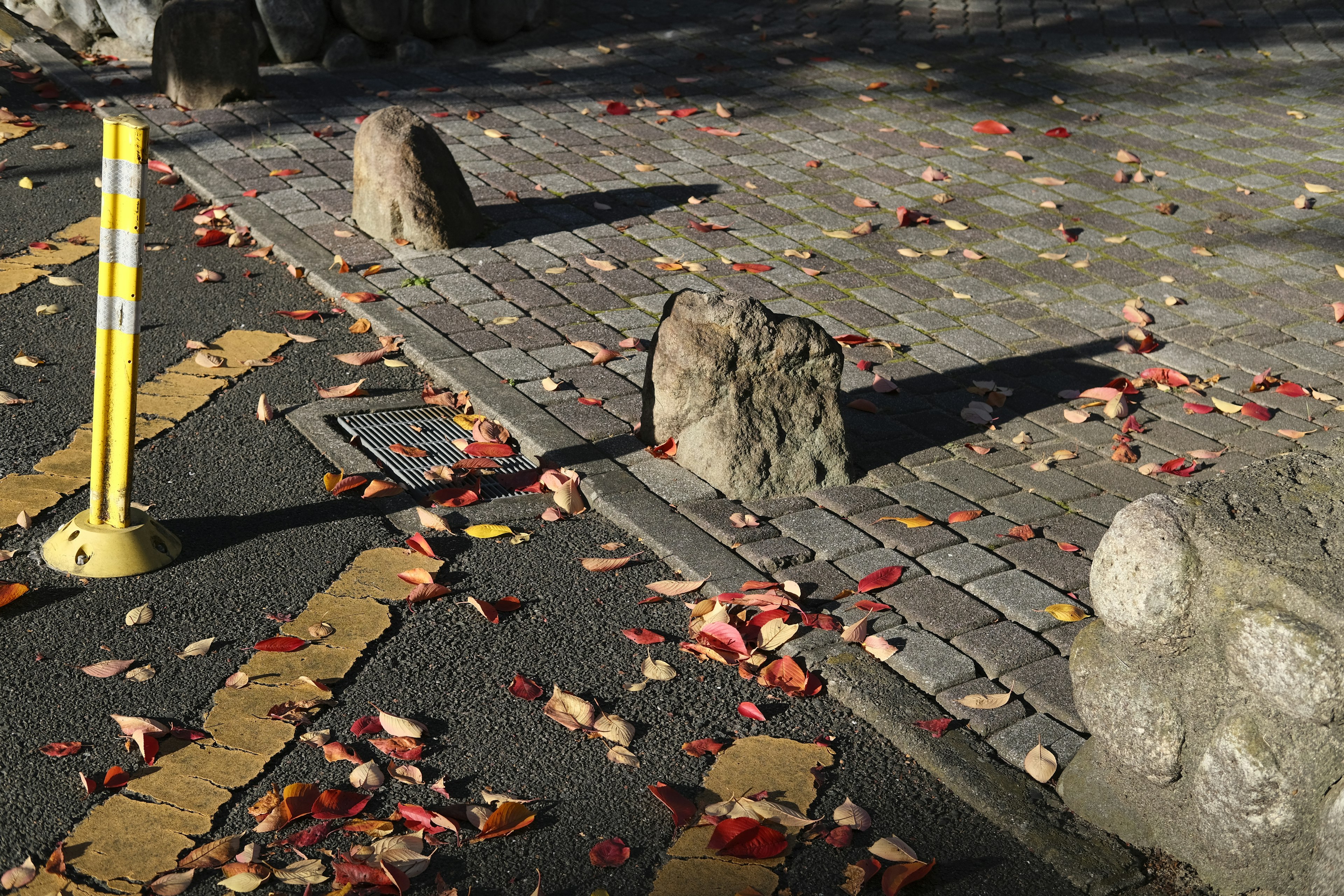 A scene with fallen leaves and stones scattered on a paved path