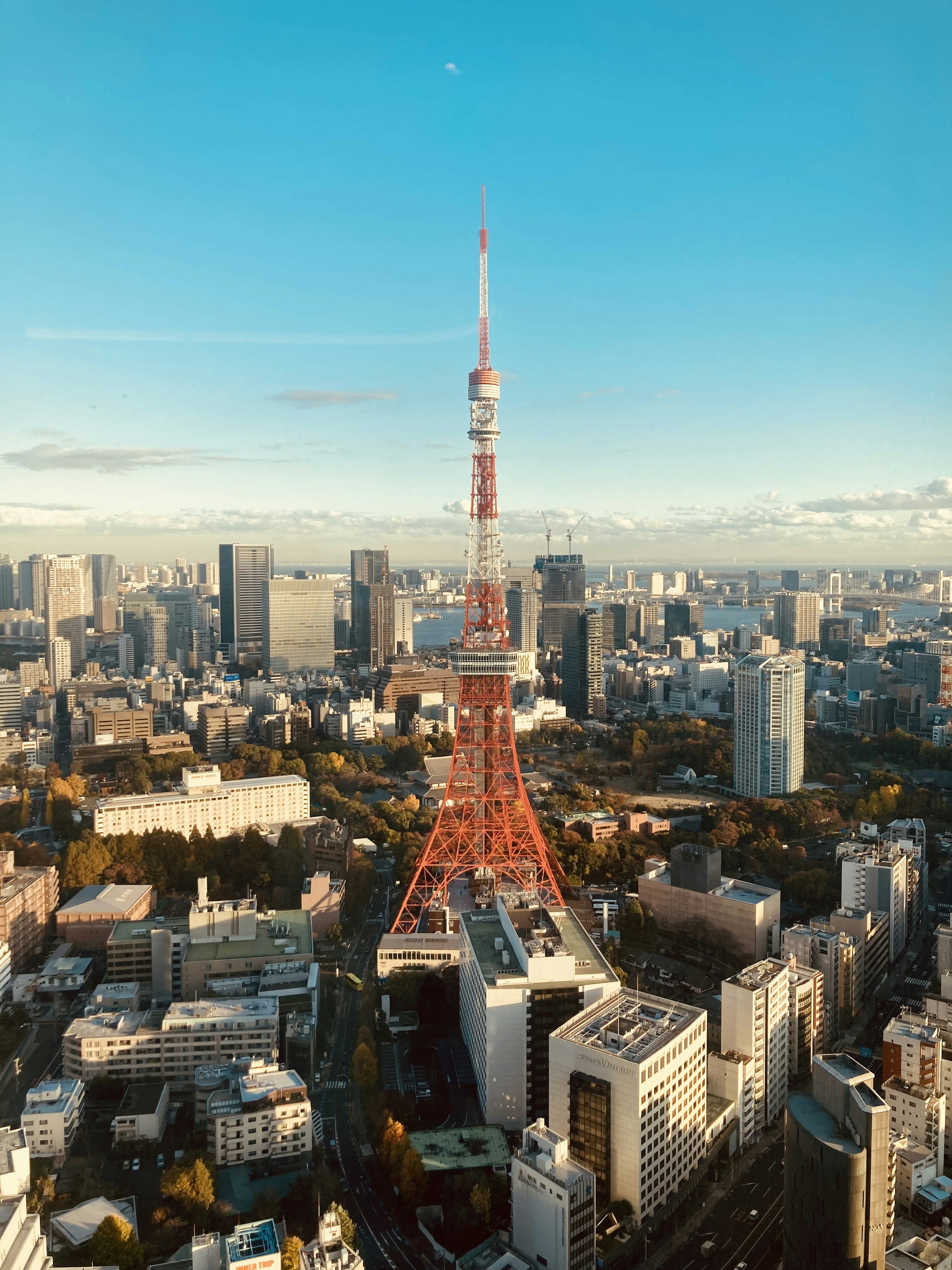 Vista aerea della Torre di Tokyo e del panorama urbano in cielo sereno