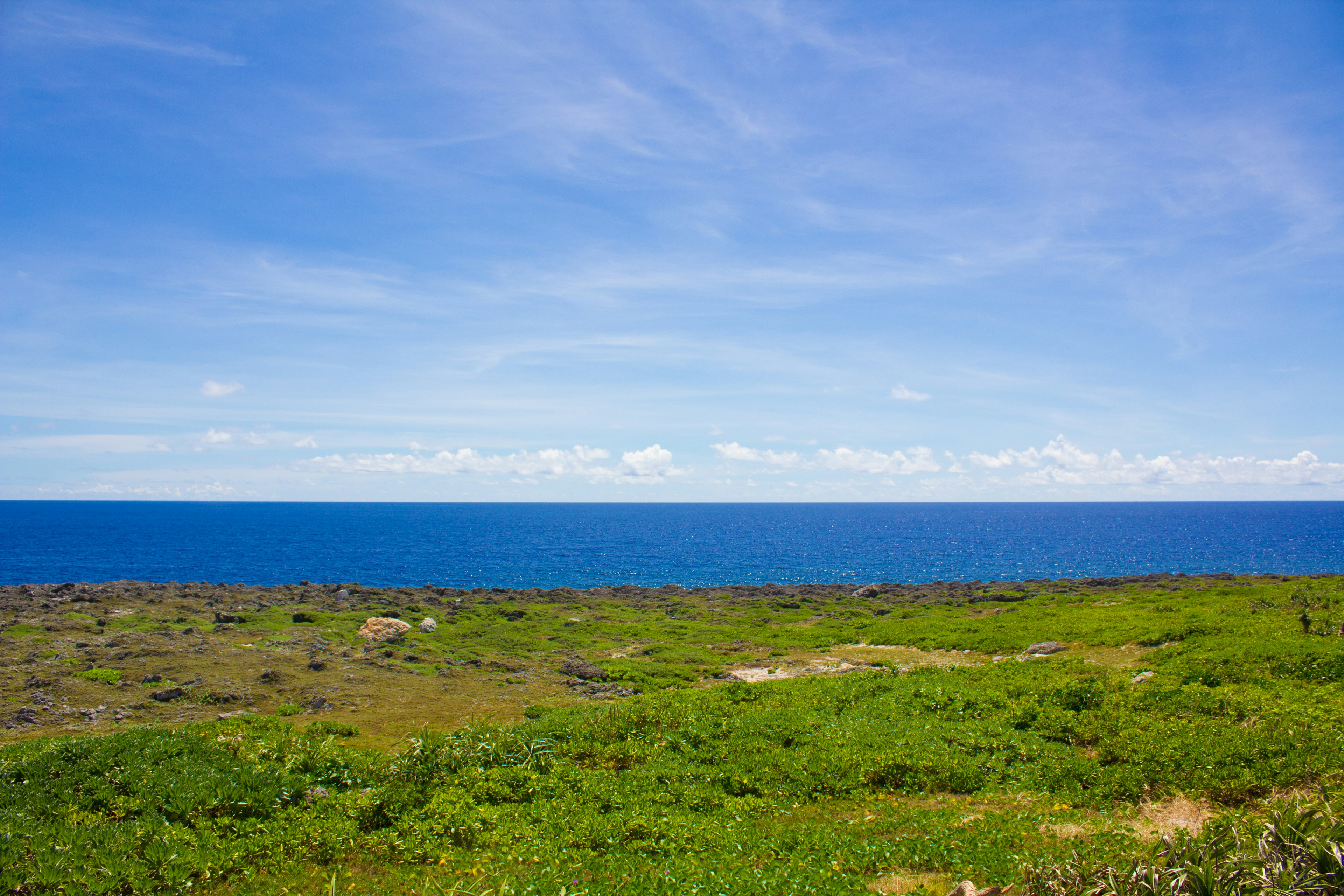 蓝色海洋和绿色草原的风景