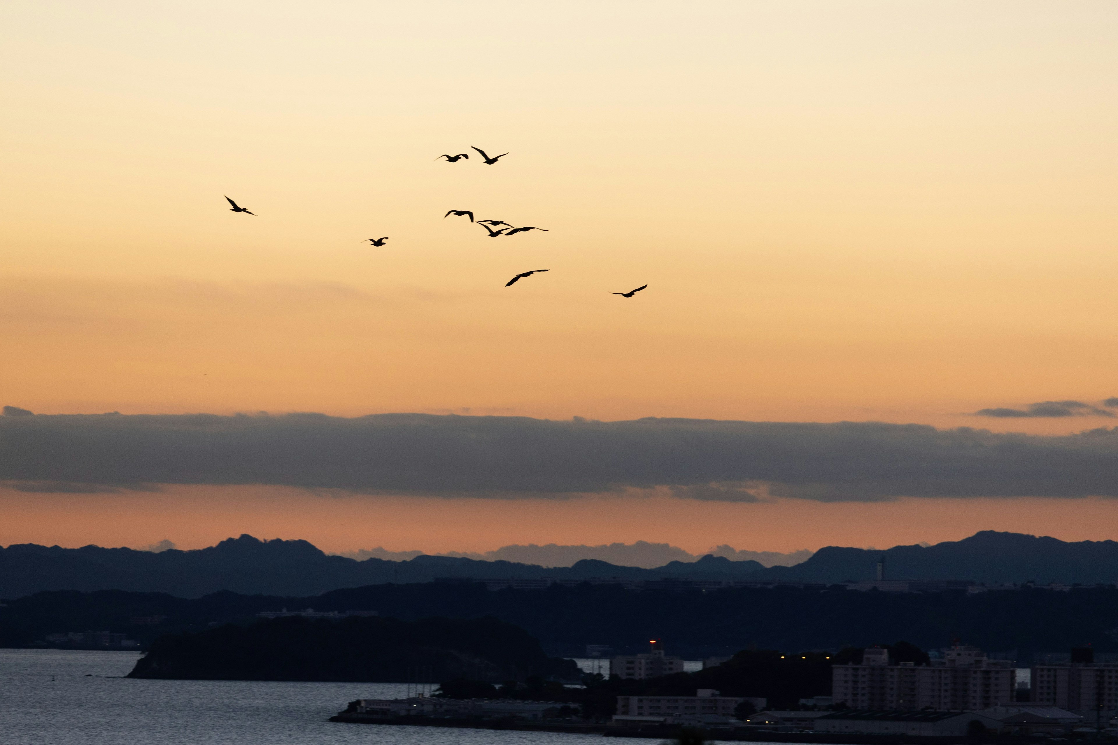 夕焼けの空に飛ぶ鳥たちと山々のシルエット