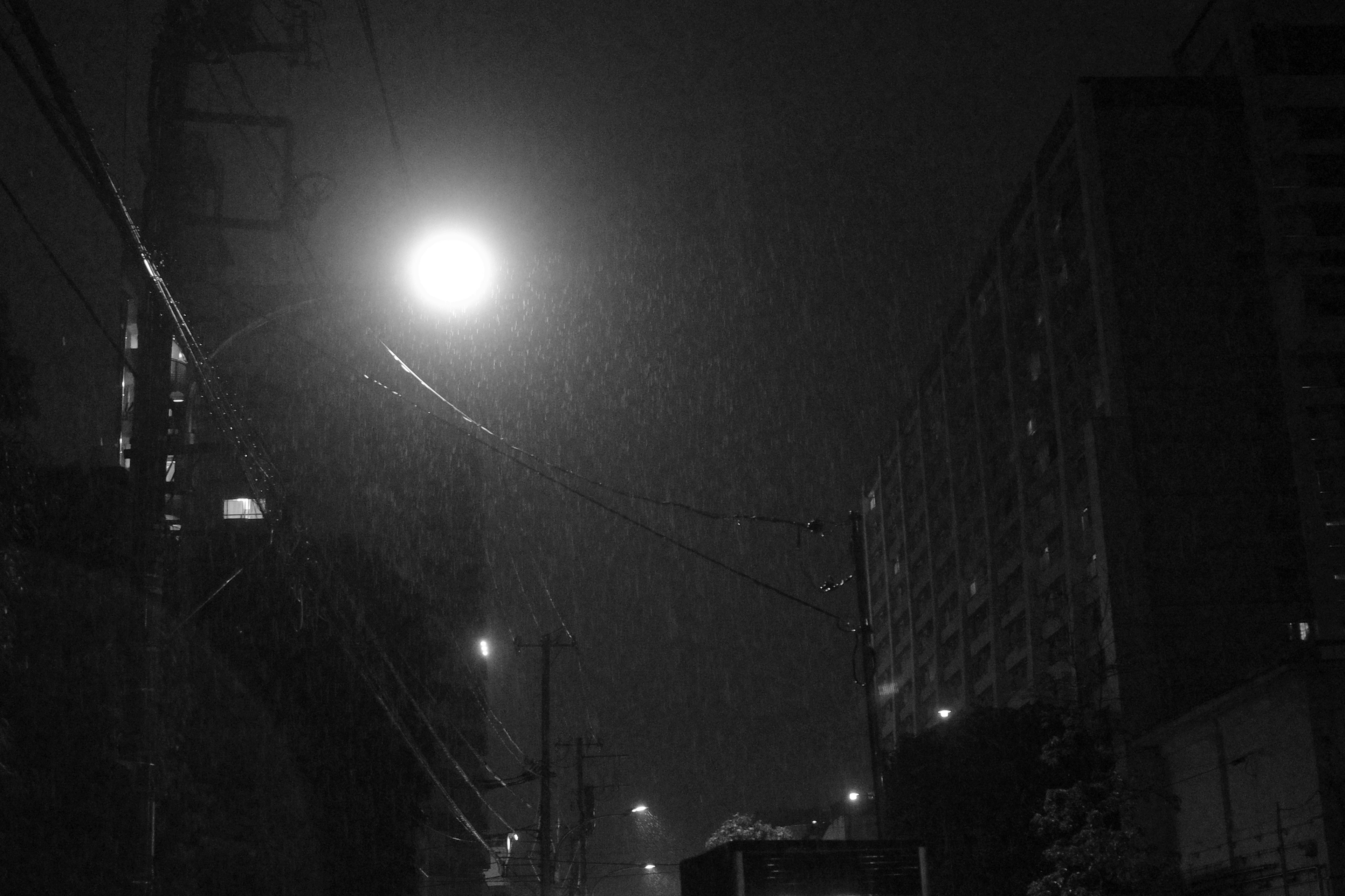 photo-MrBxm6rXwn1cUtzwCZEp-image