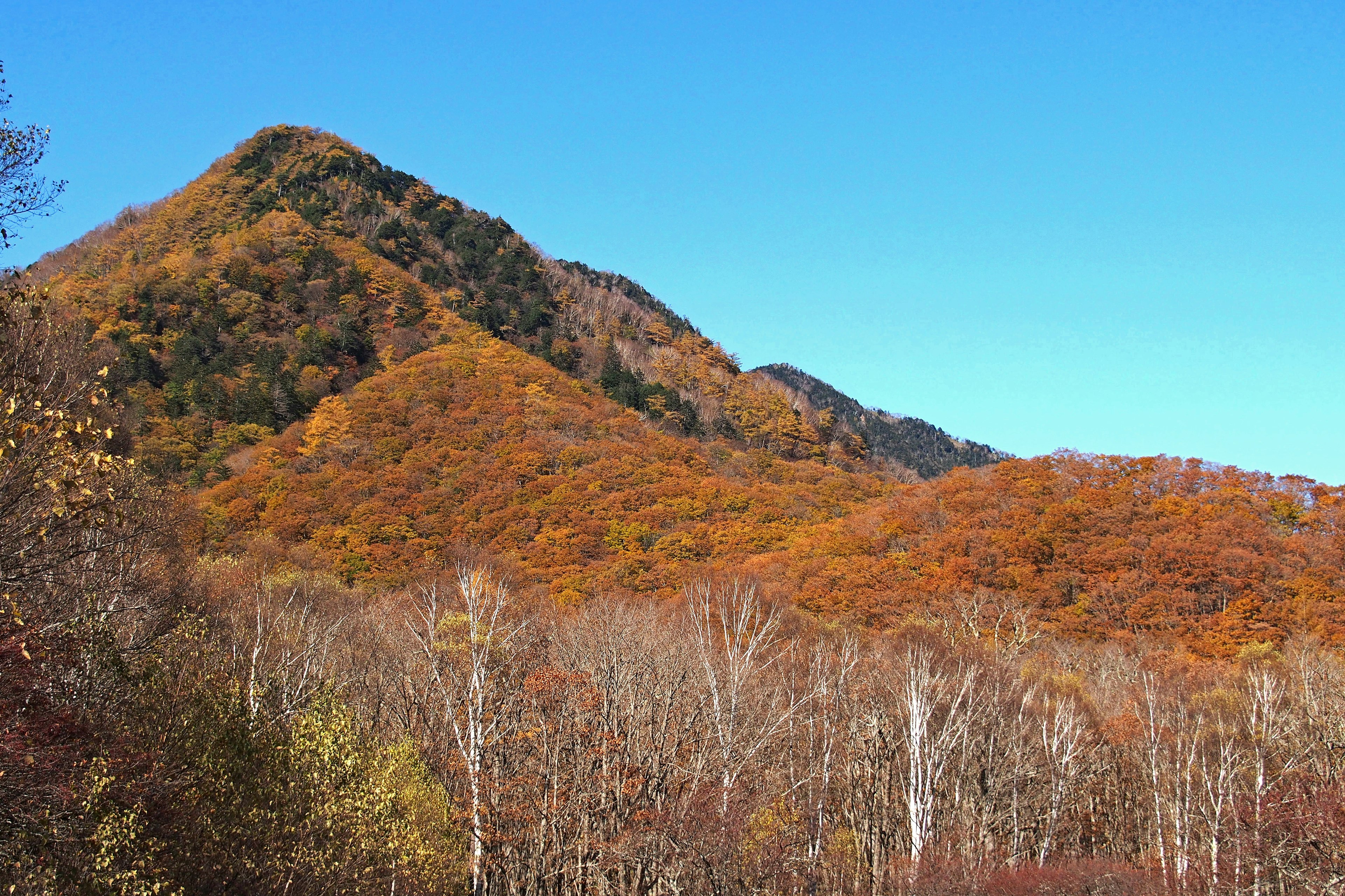 Gunung dihiasi dengan warna musim gugur dan langit biru cerah