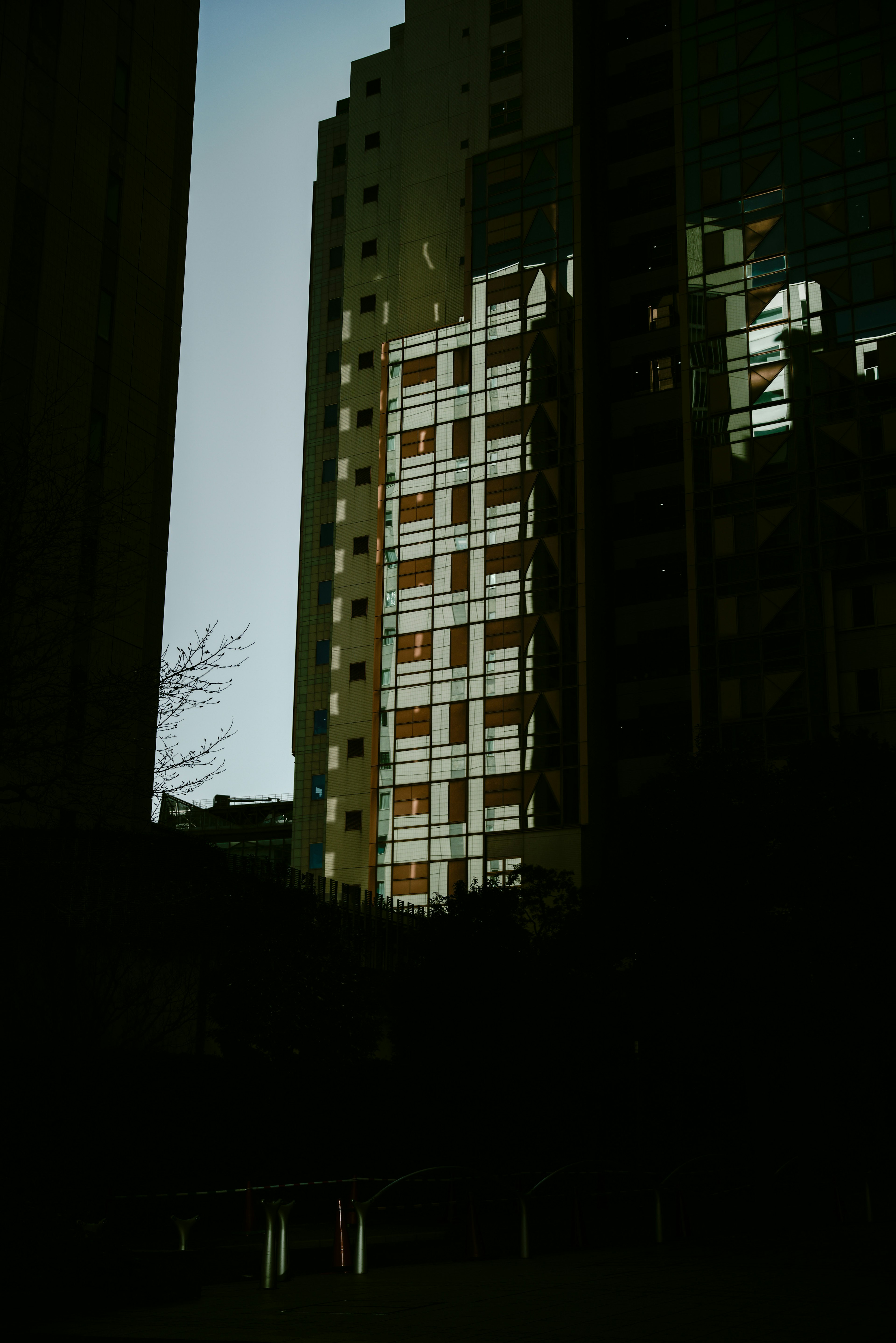 Bright windows of a building hidden behind tall skyscrapers