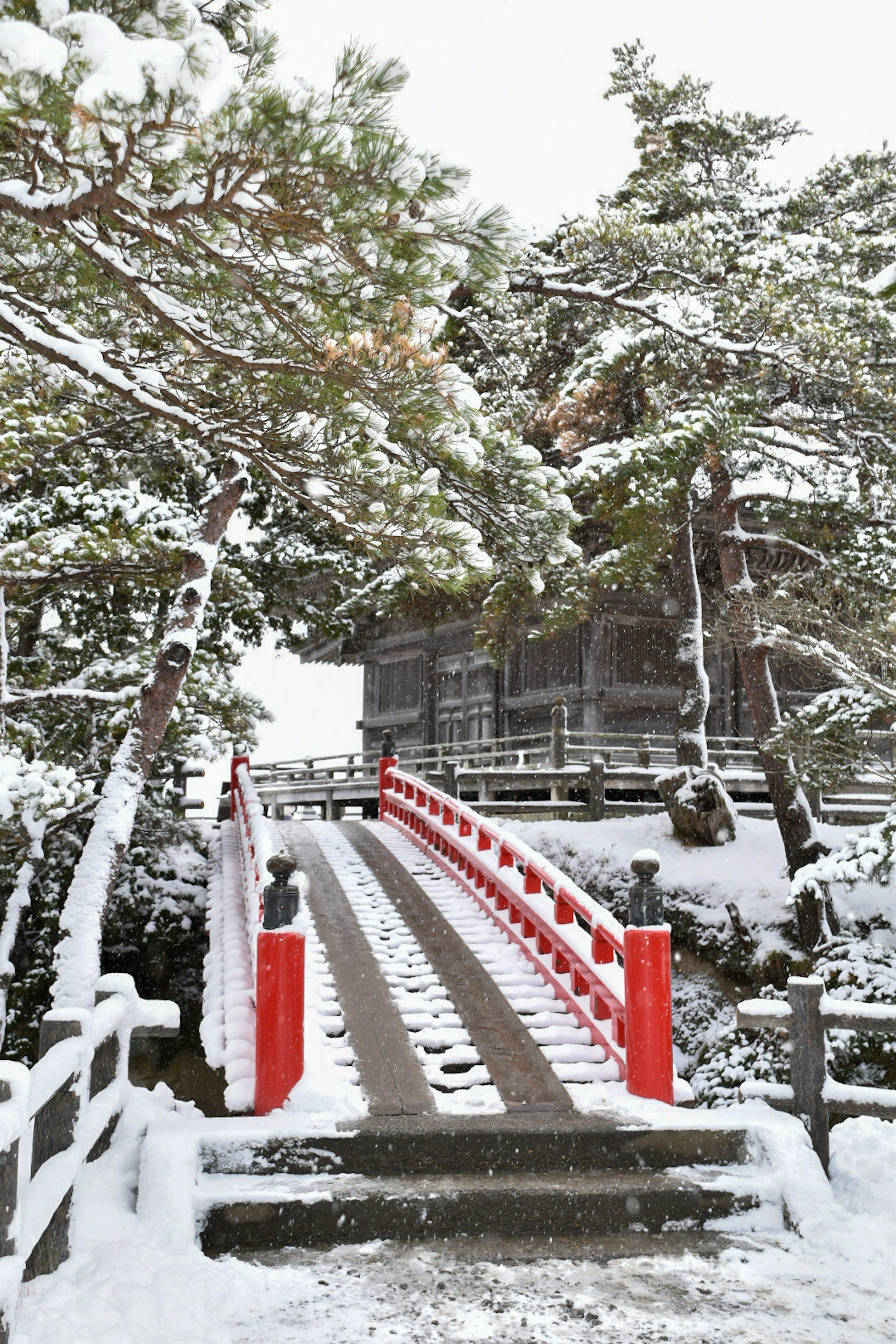 被雪覆蓋的紅橋通往被樹木環繞的傳統建築