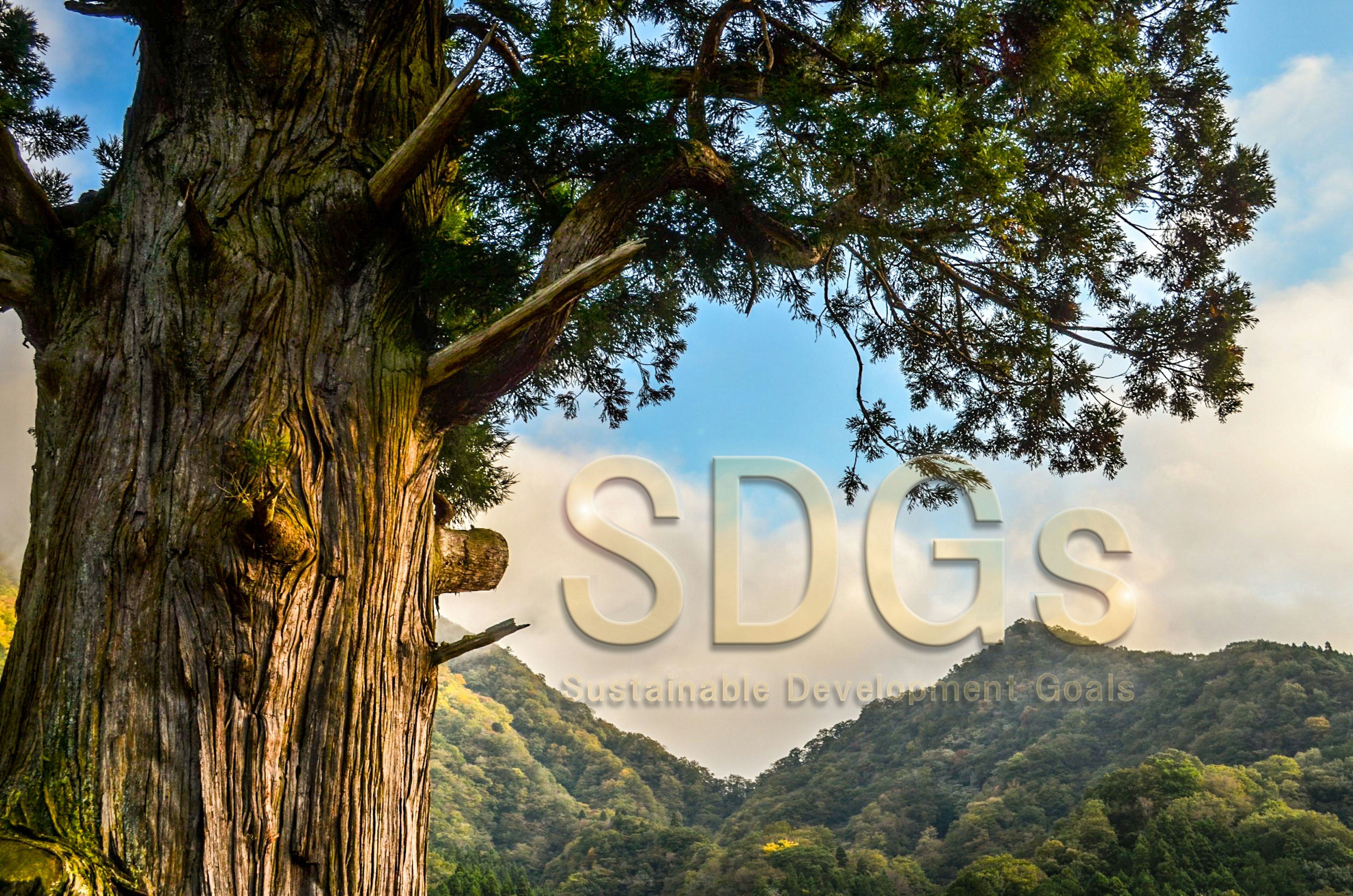 Gran árbol con montañas de fondo que presenta un mensaje sobre los objetivos de desarrollo sostenible