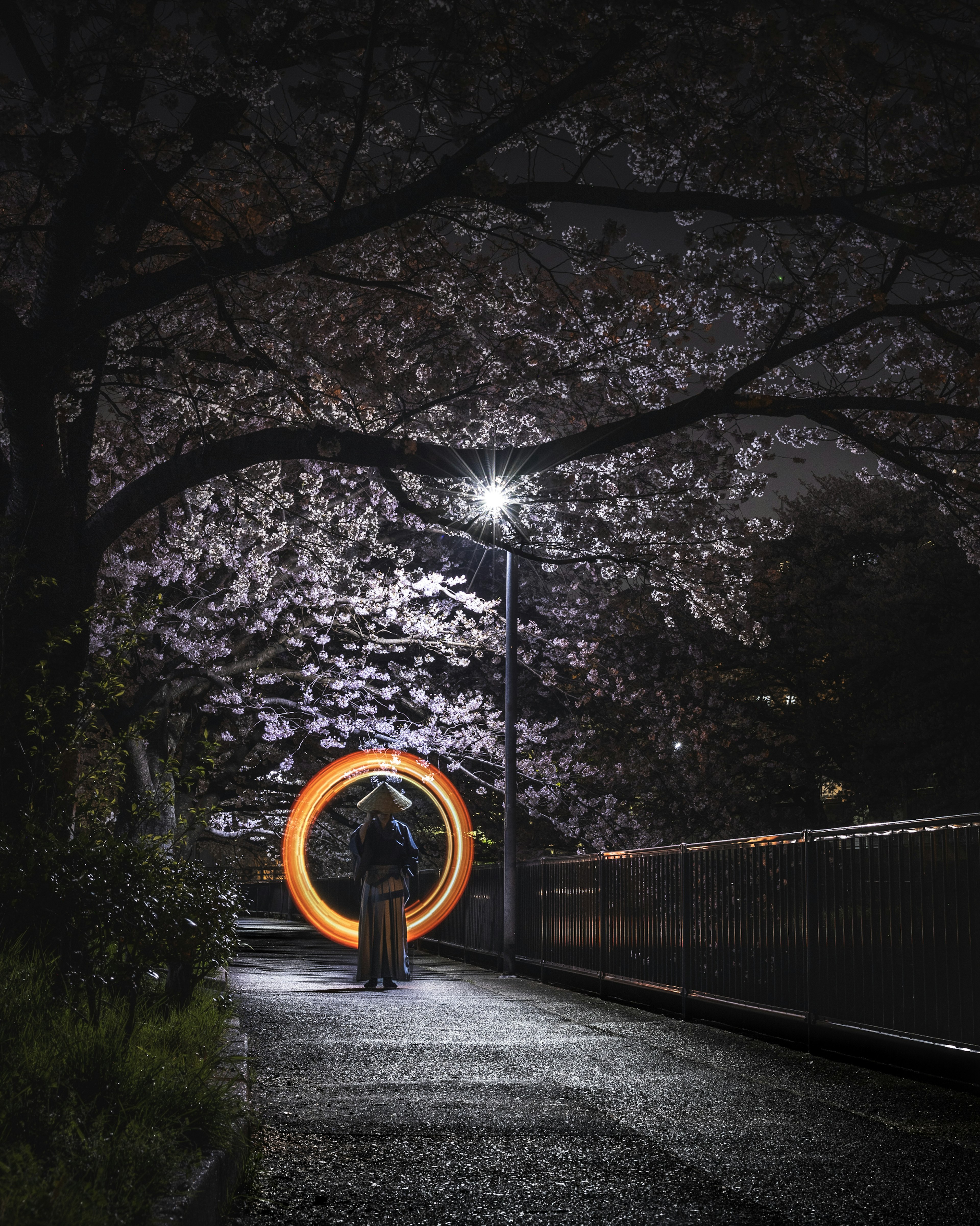 Eine Person steht unter blühenden Kirschbäumen und hält einen leuchtenden Ring in der Nacht