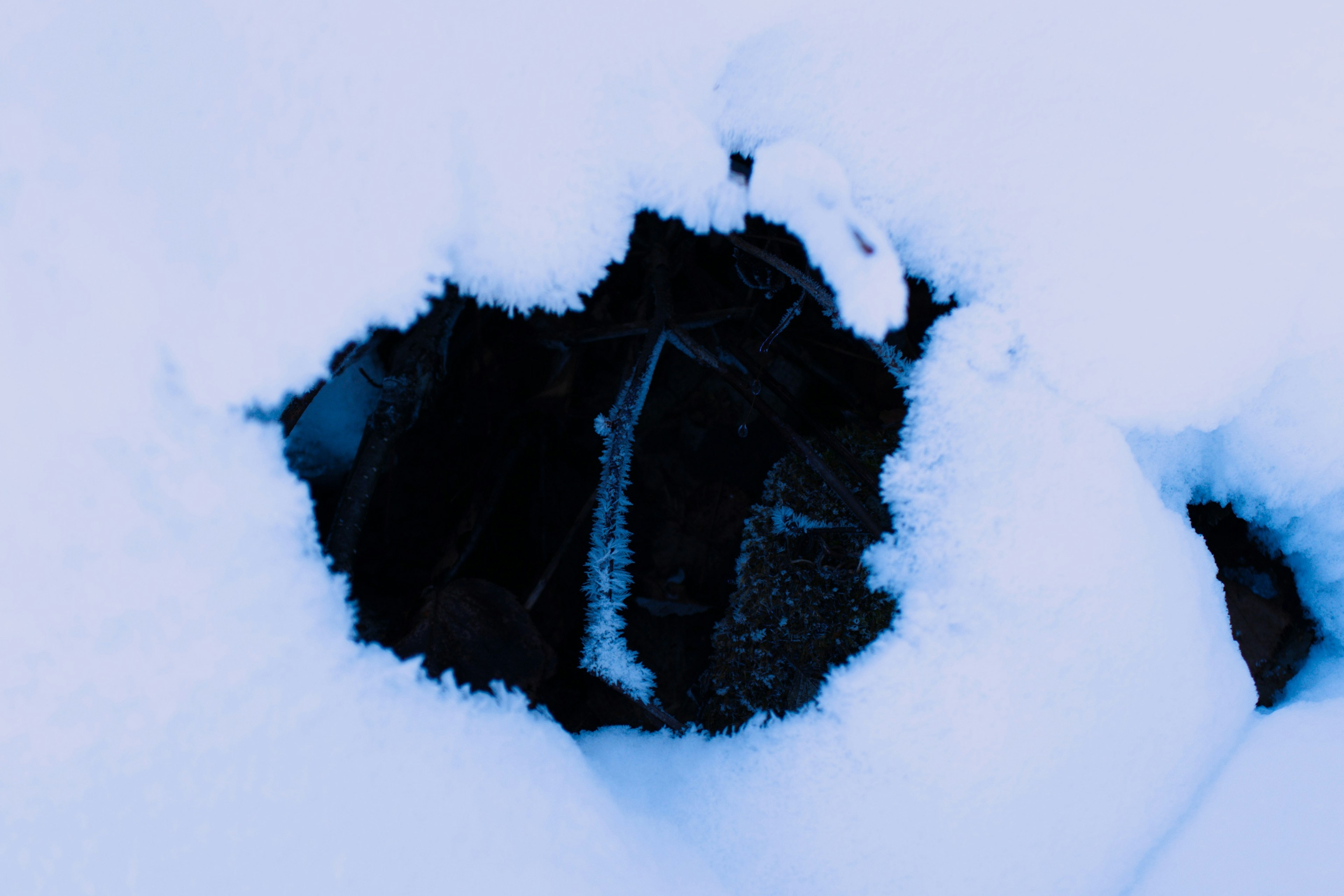 Bild zeigt einen teilweise im Schnee begrabenen schwarzen Stein