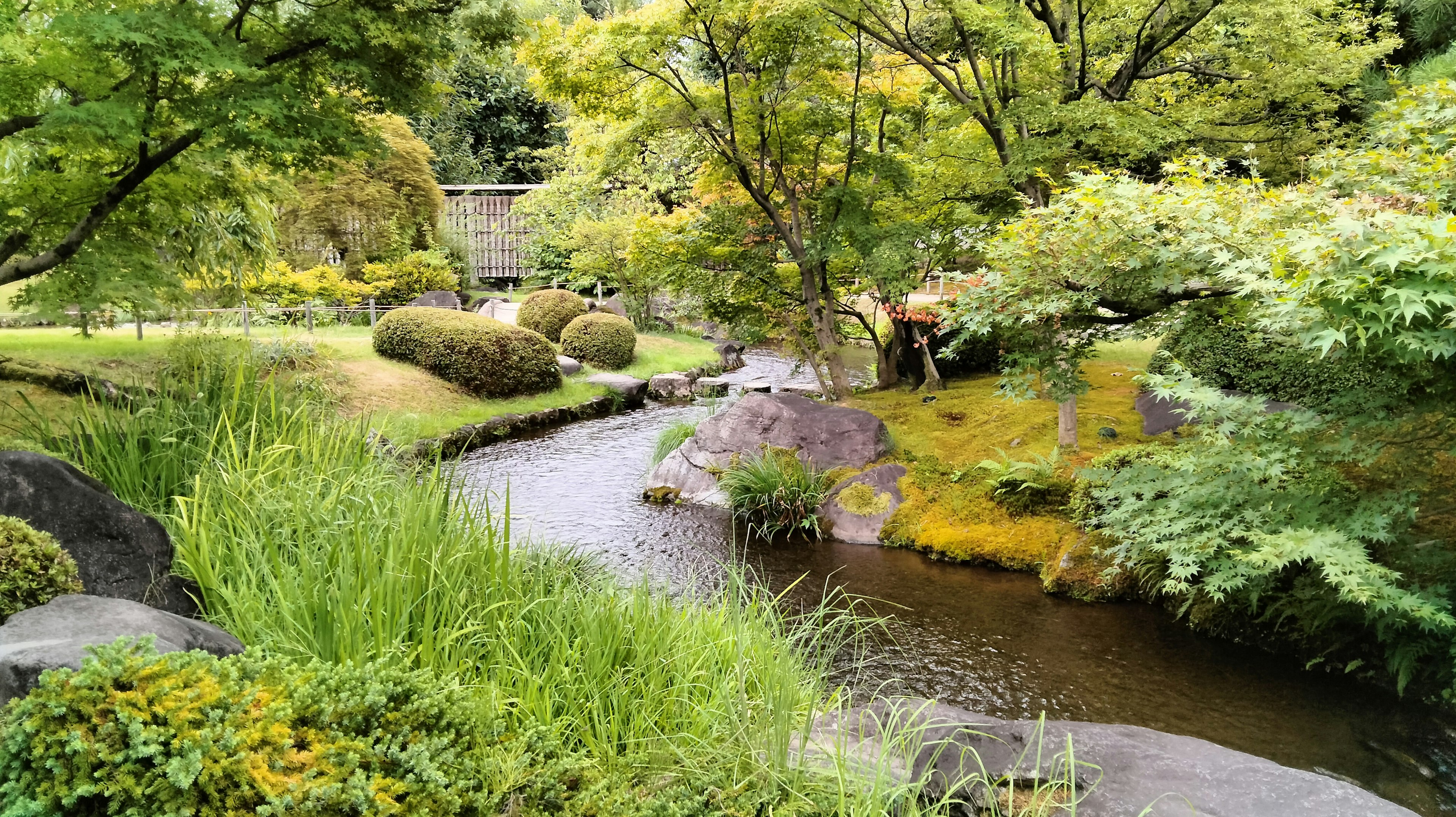 美麗的日本庭園景觀，綠意盎然和流動的小溪