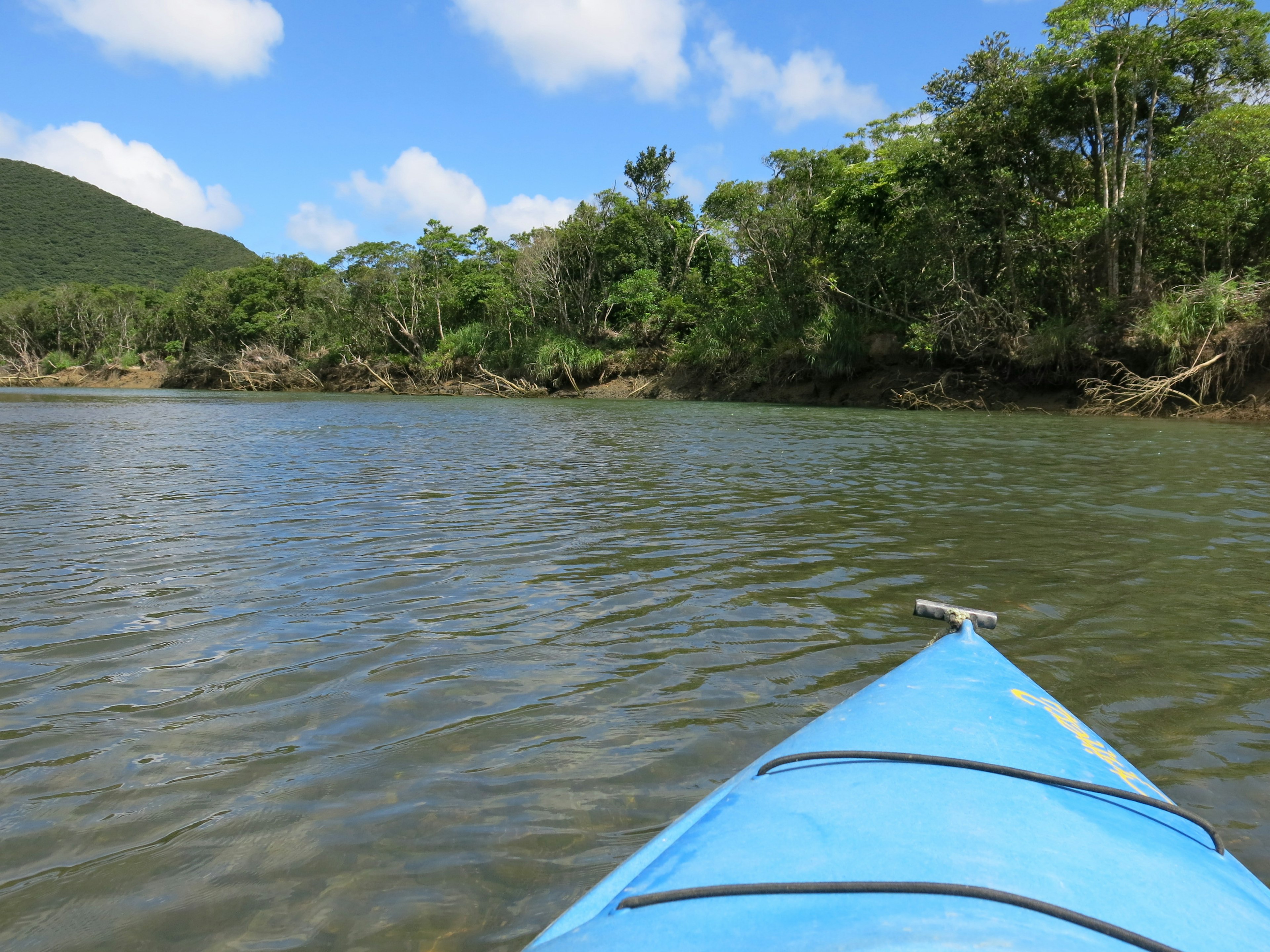 Pemandangan dari kayak biru di sungai tenang dikelilingi oleh pepohonan subur