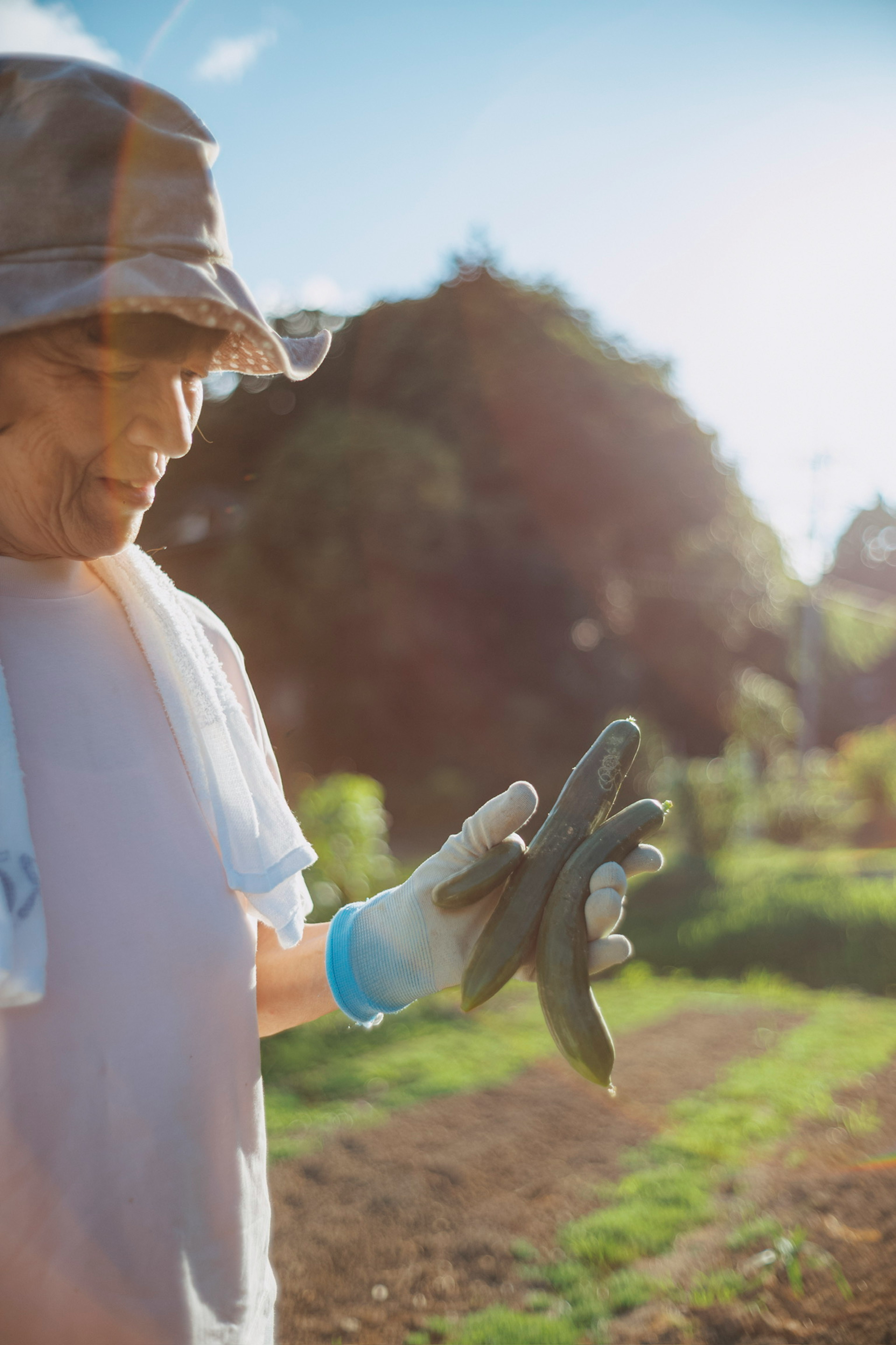 Man holding cucumbers in a farm field under bright sunlight