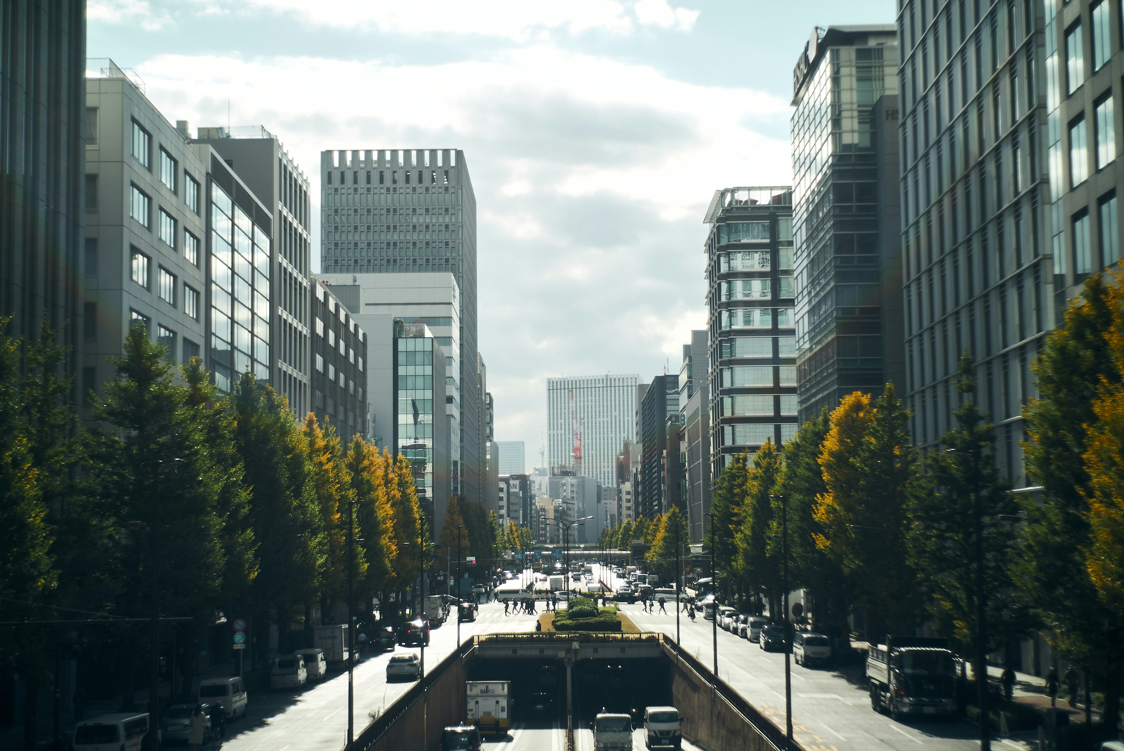 Urban street view with skyscrapers and lined trees