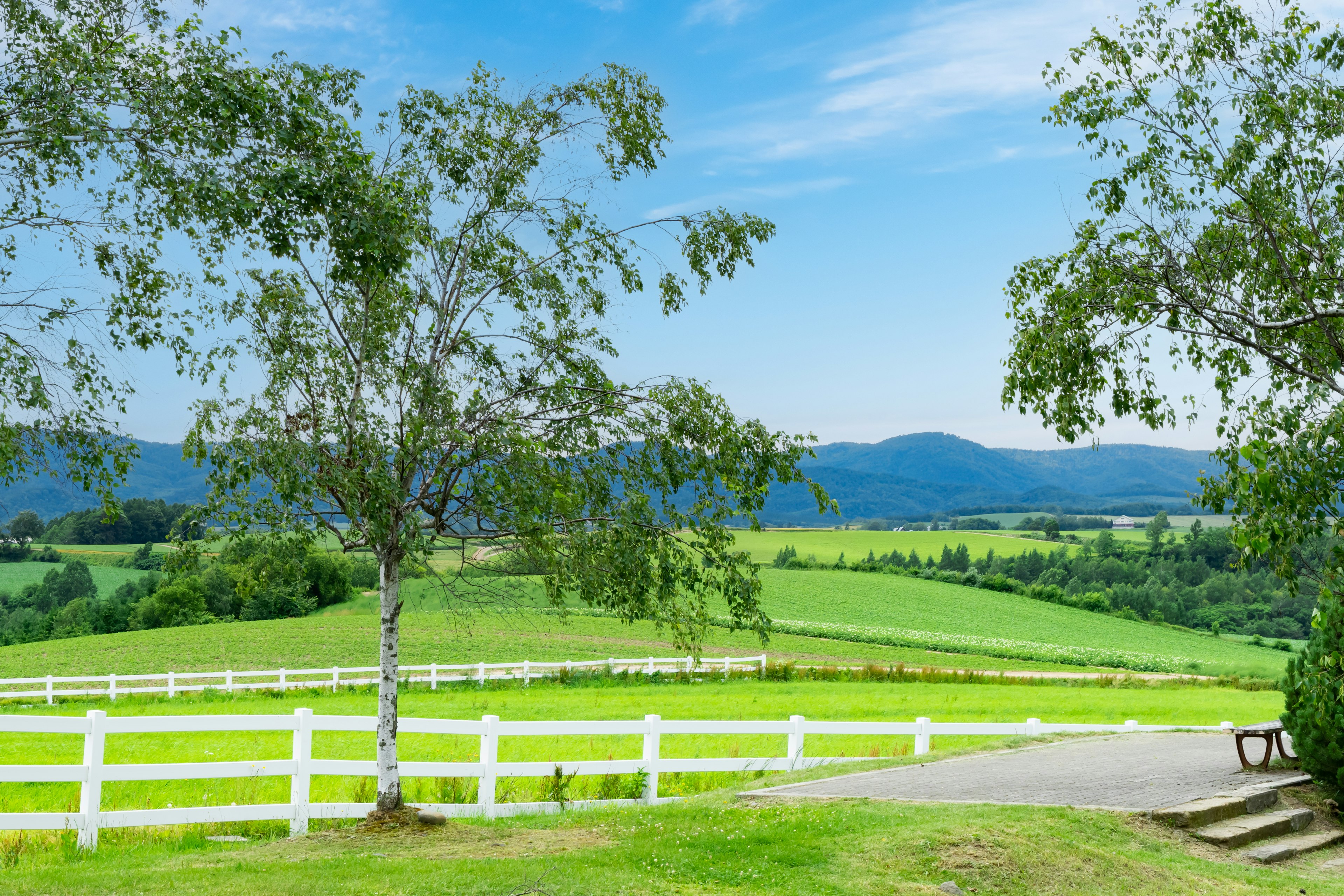 Paisaje con cielo azul campos verdes cerca blanca y árboles