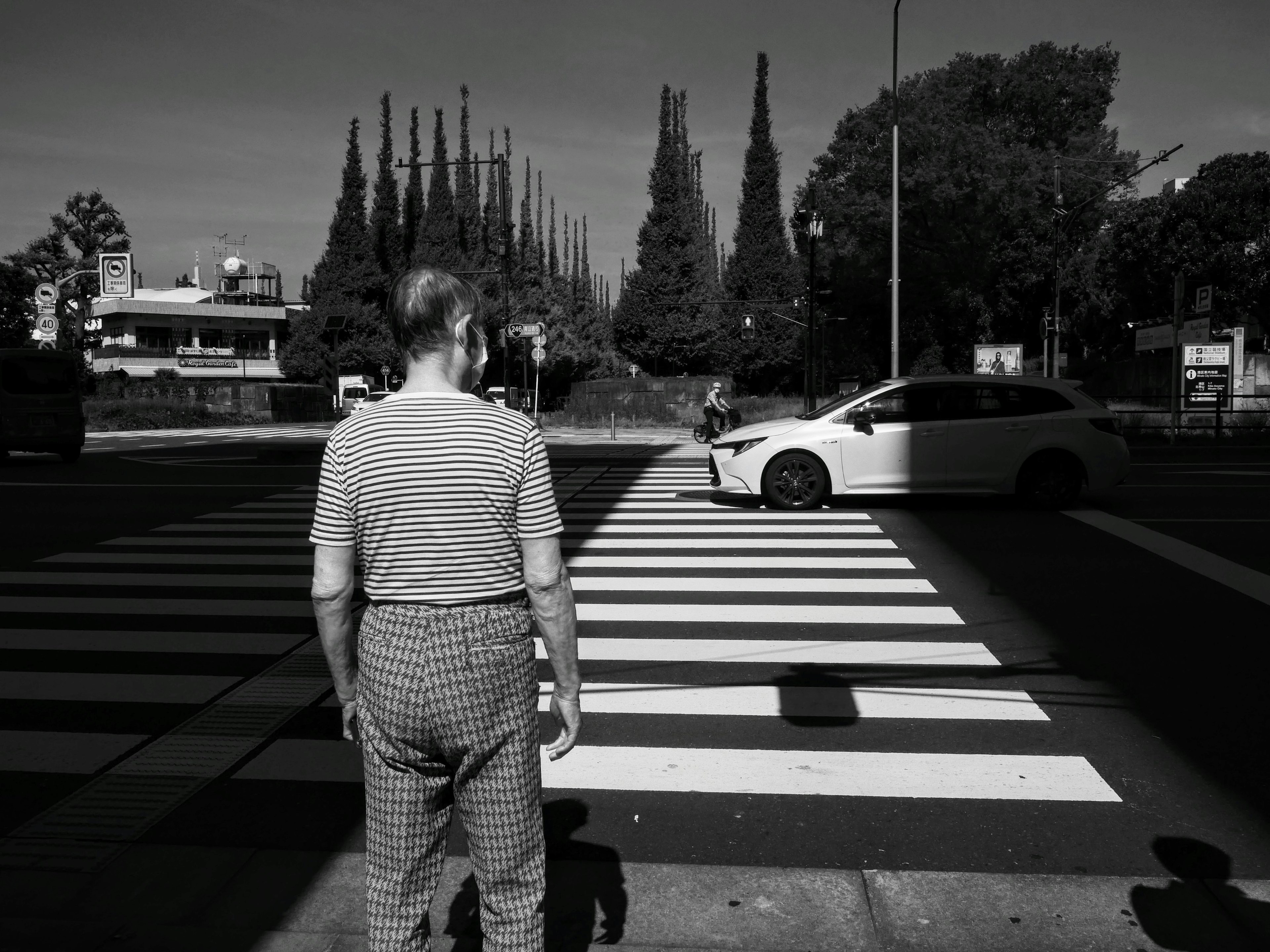 Una persona de pie en un paso de peatones en blanco y negro con árboles al fondo